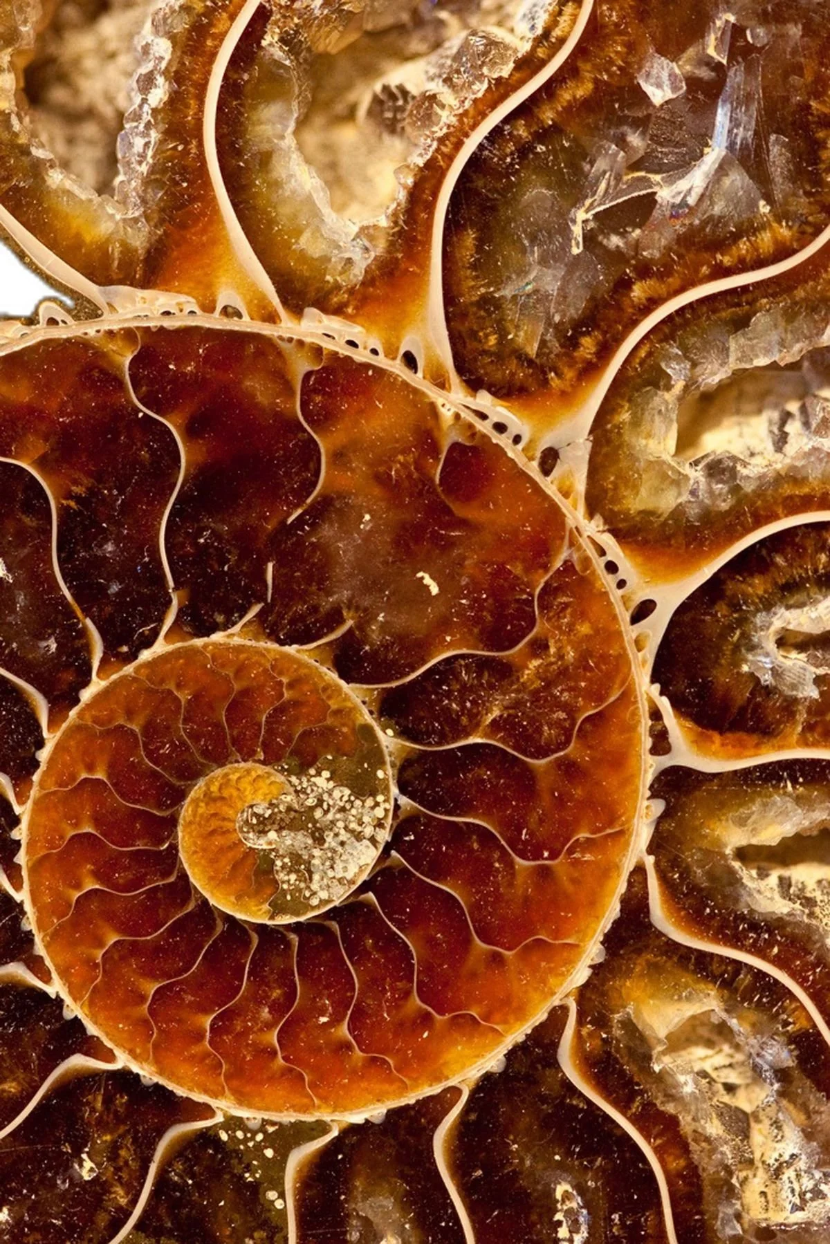 What "whole" actually means to me