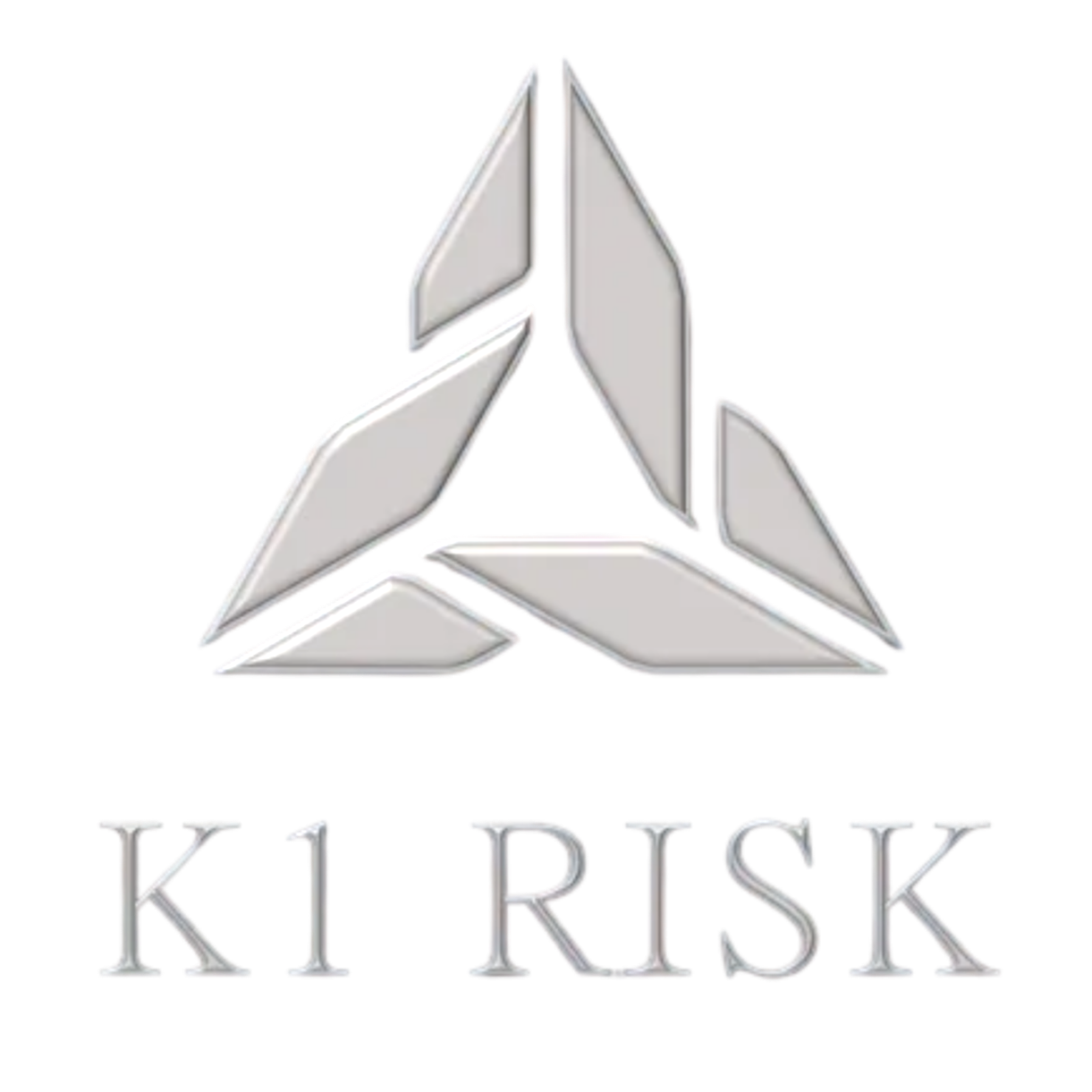 K1 Risk | logo