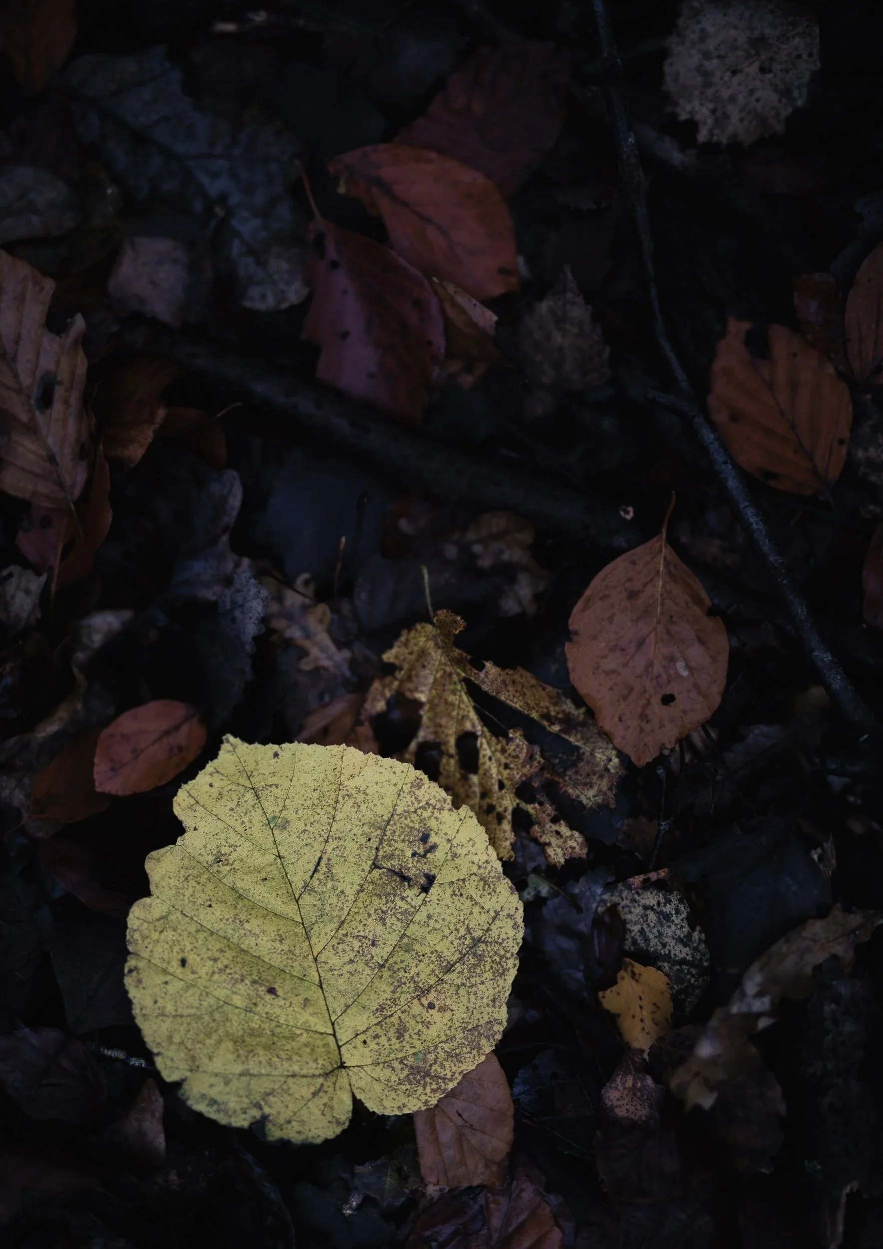 portfolio-36.jpg