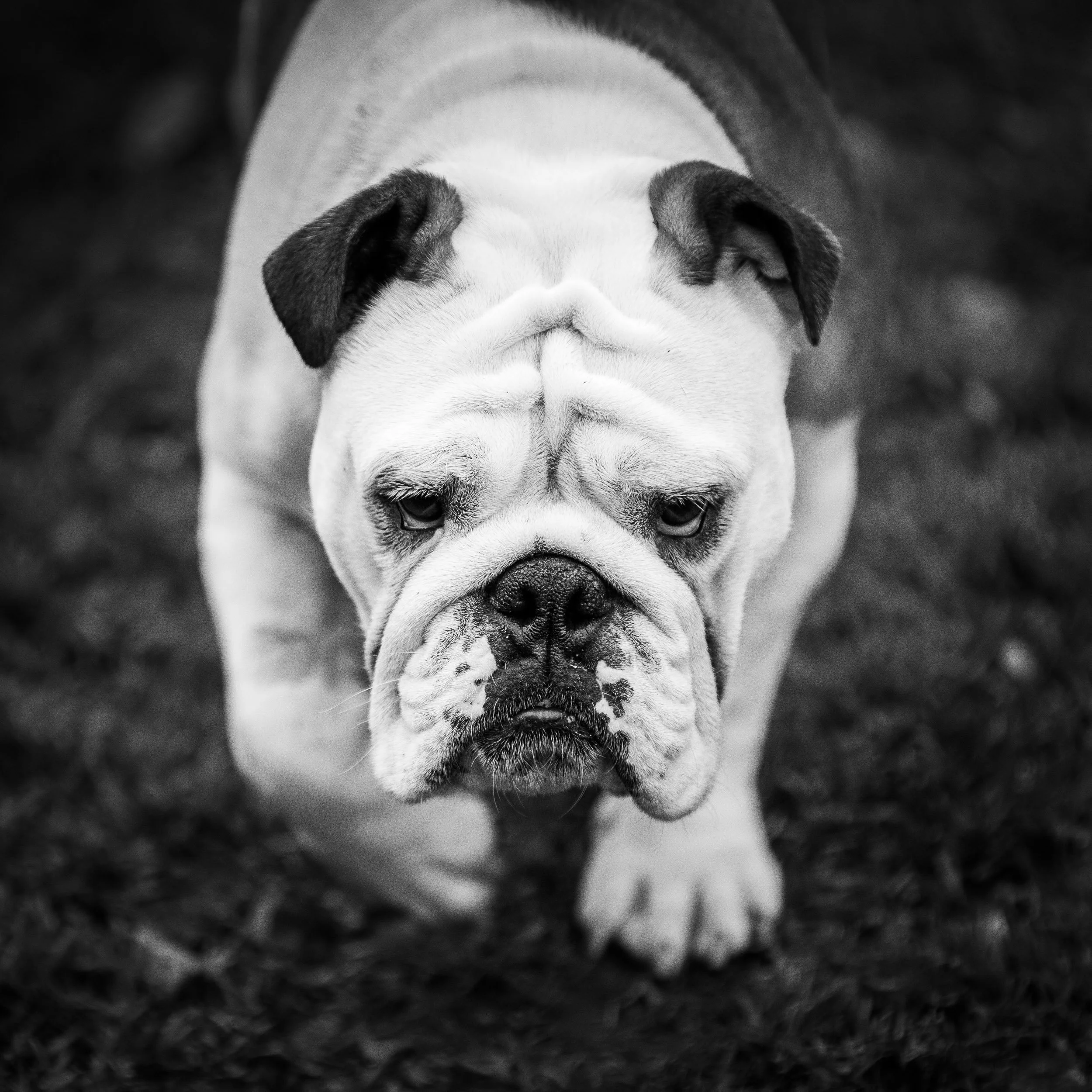 portfolio-35.jpg