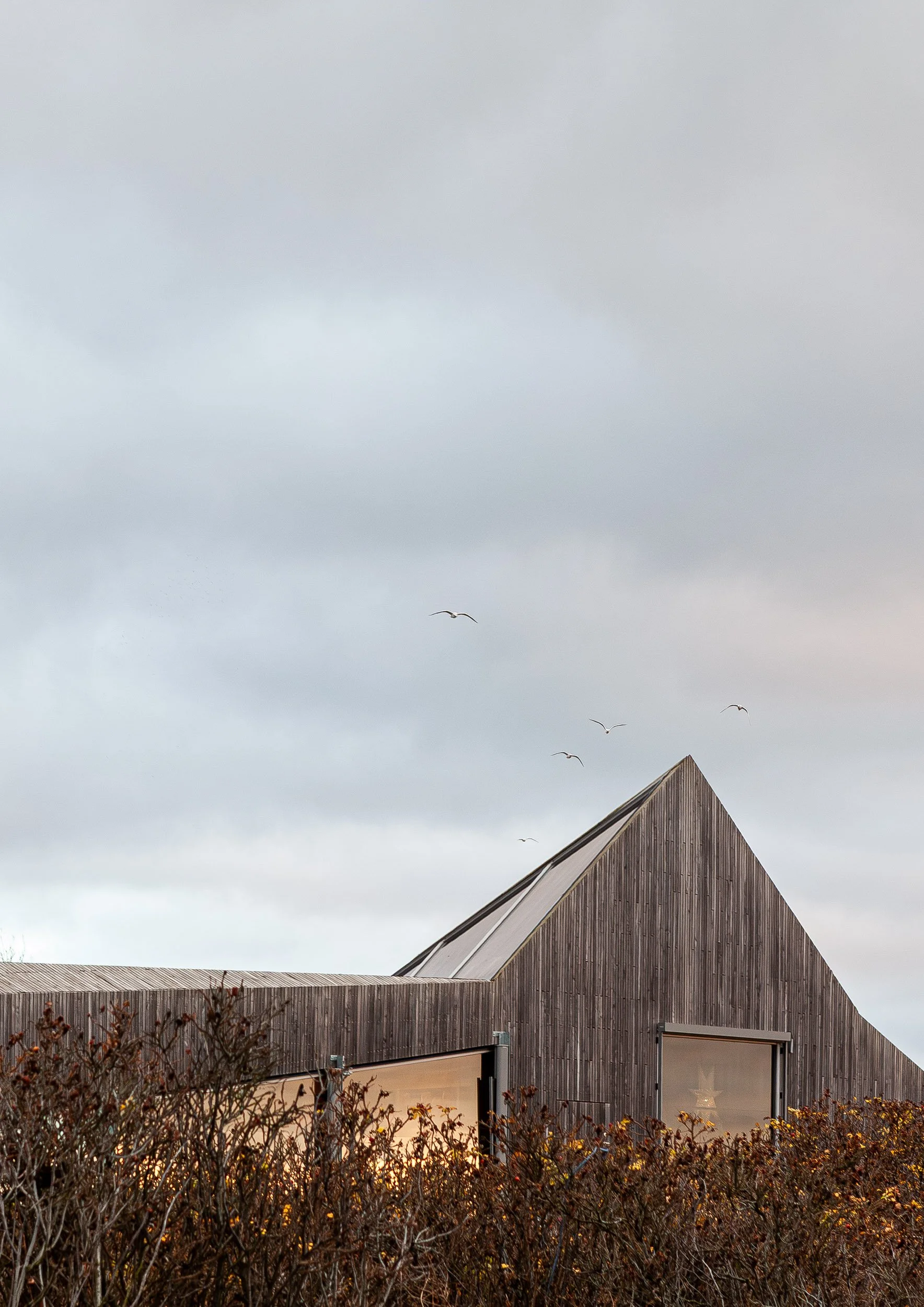 portfolio-20.jpg