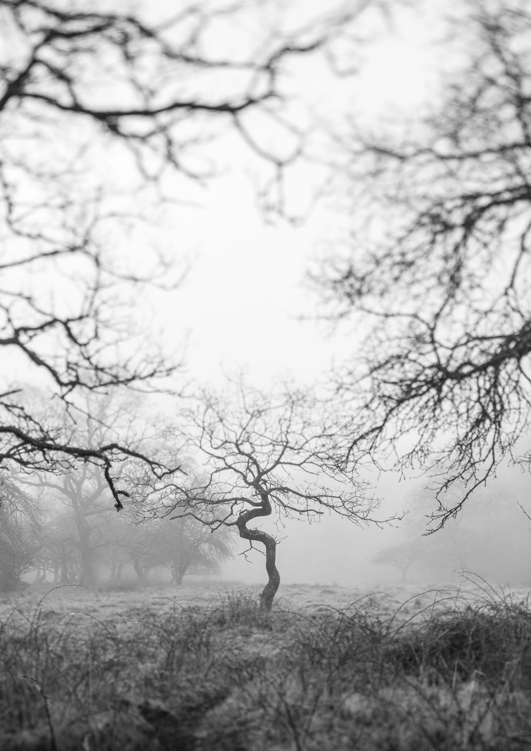 portfolio-40.jpg