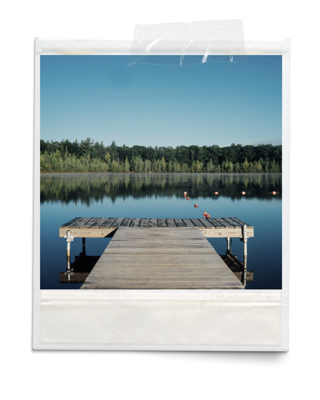 A wooden dock extending into a calm lake, with a forested shoreline and clear blue sky in the background.