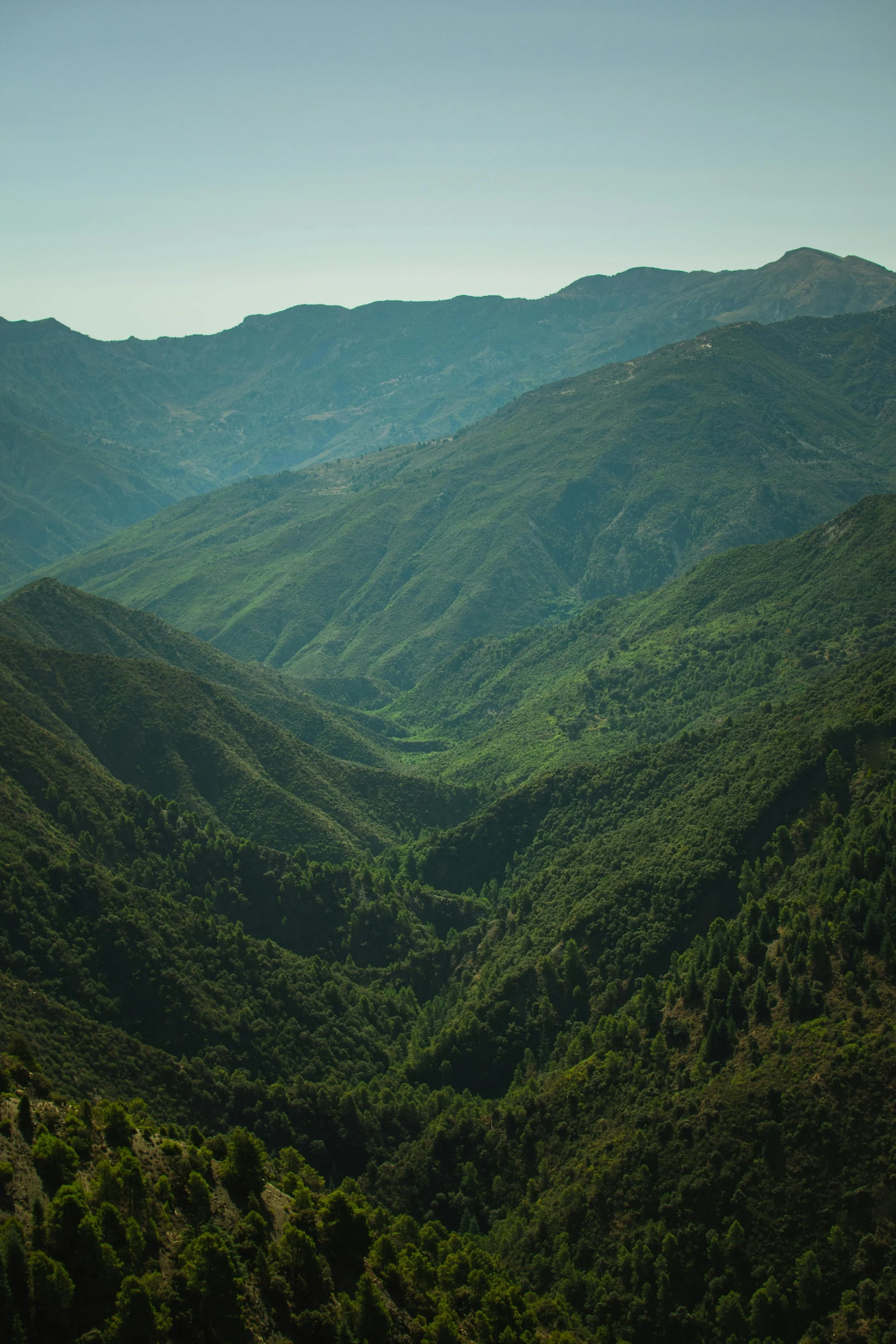 A scenic view of lush green mountains with layers of ridges stretching into the distance, under a clear sky.