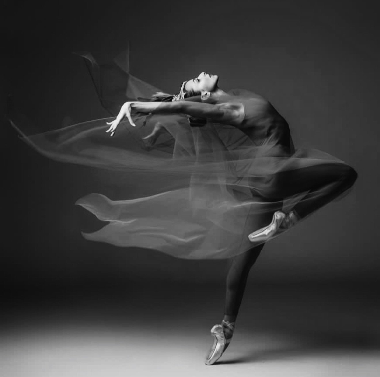 A ballet dancer in a pose with one leg extended and arms outstretched, wearing a dark dress and ballet pointe shoes, with a semi-transparent fabric flowing around her in a black and white photograph.