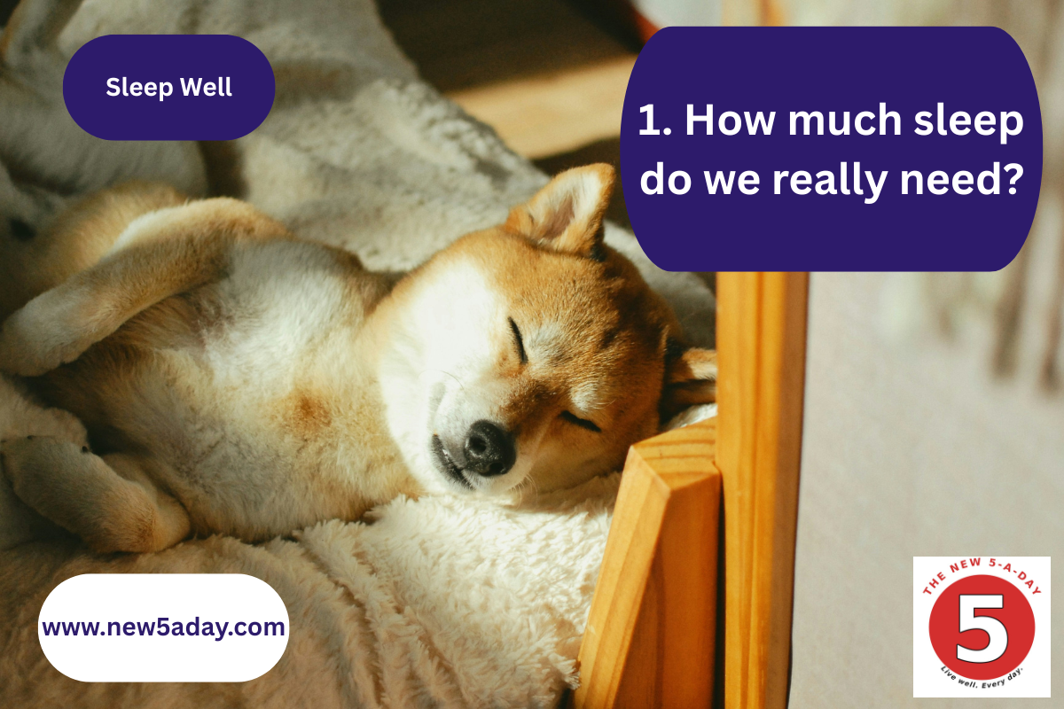 Sleep well 1 - How much sleep do we really need?