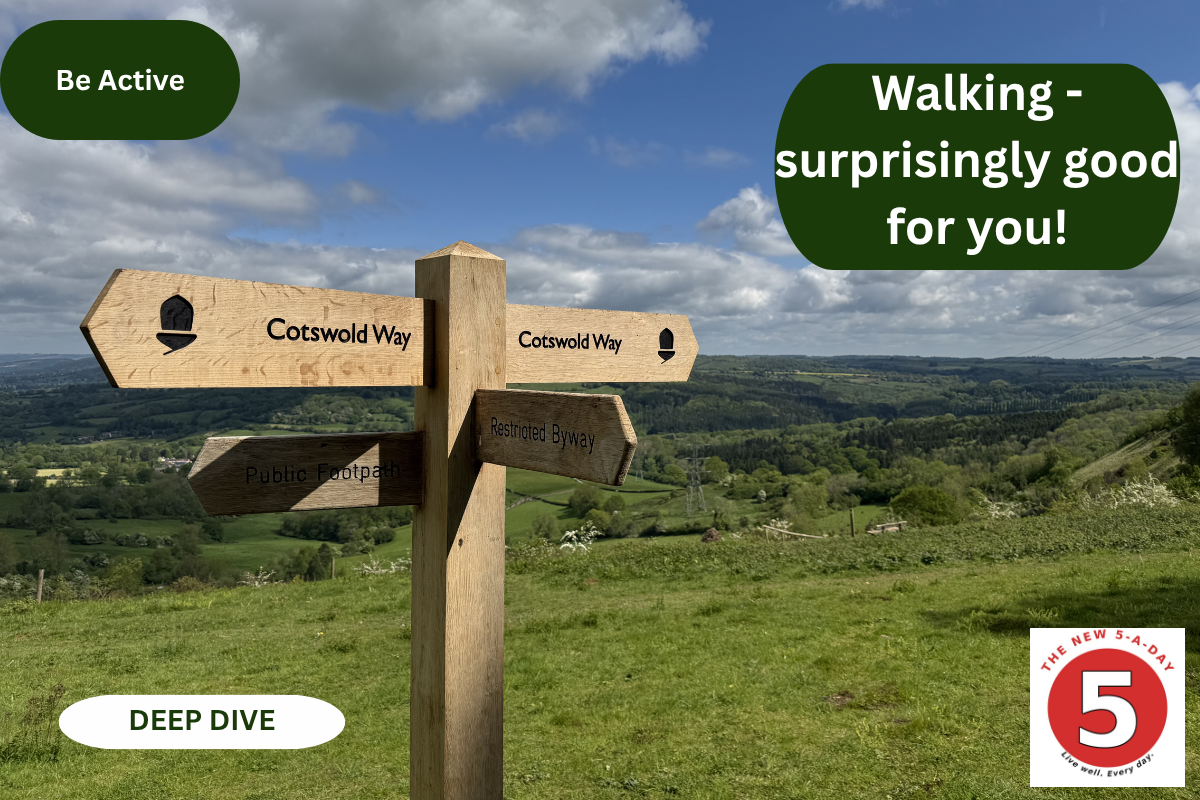 Deep Dive: 3. Walking is surprisingly good for you!
