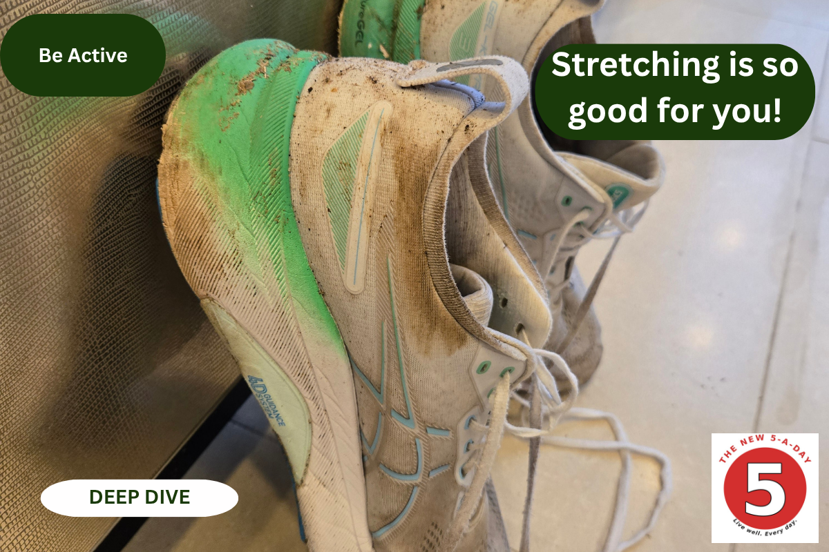 What stretching actually does to your body