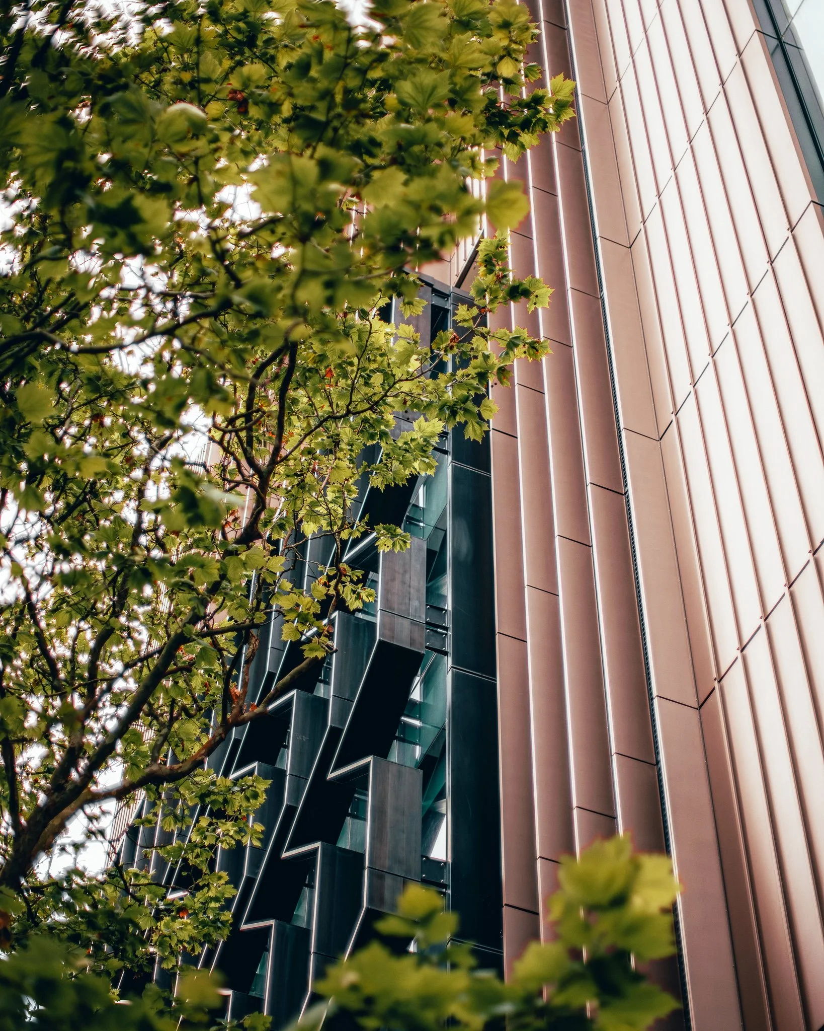 University of Auckland