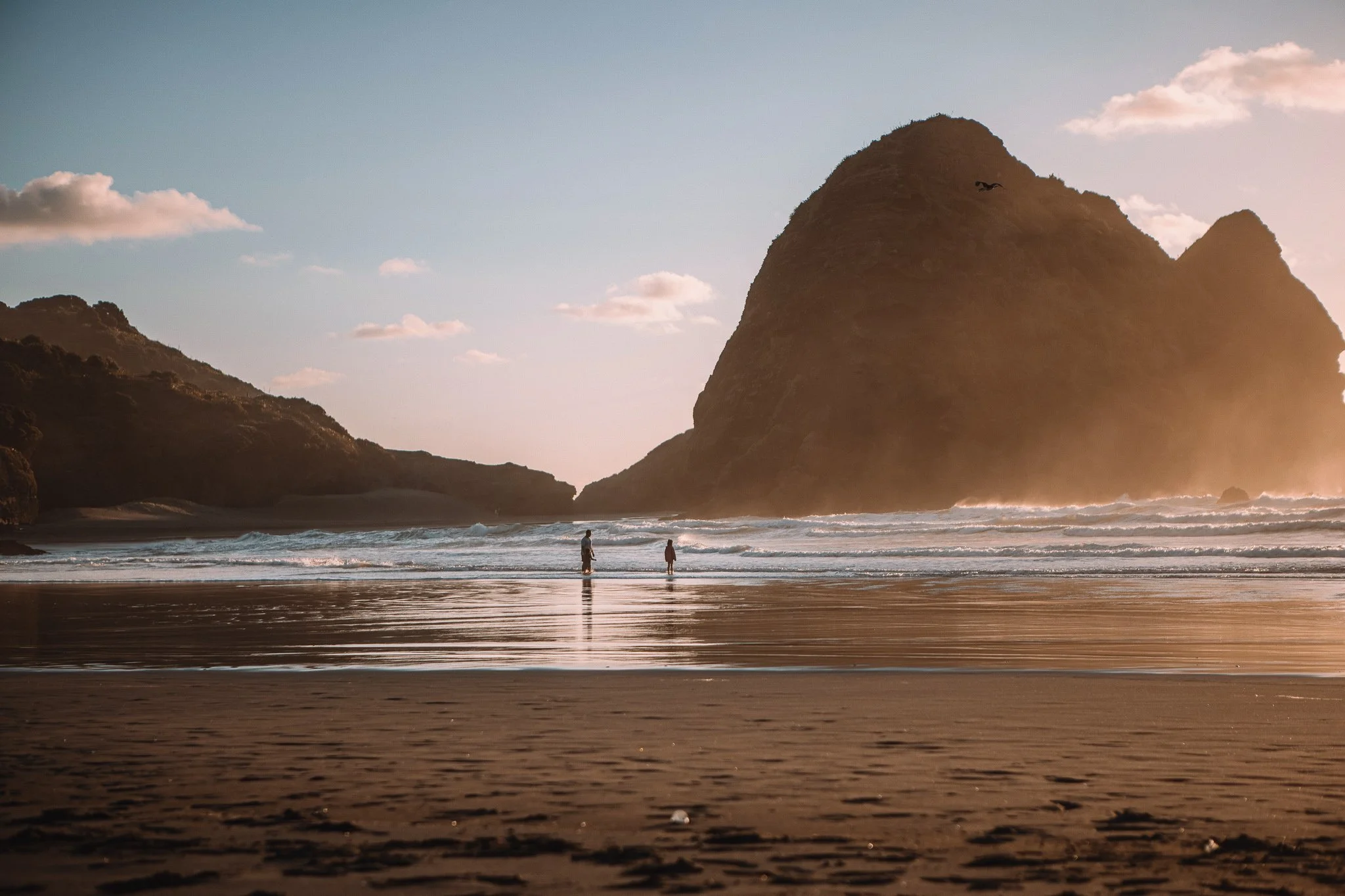 Piha Beach Auckland Region