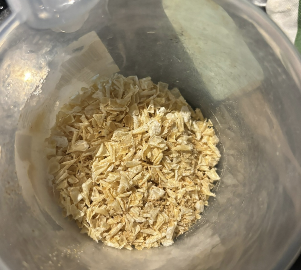 dried scales