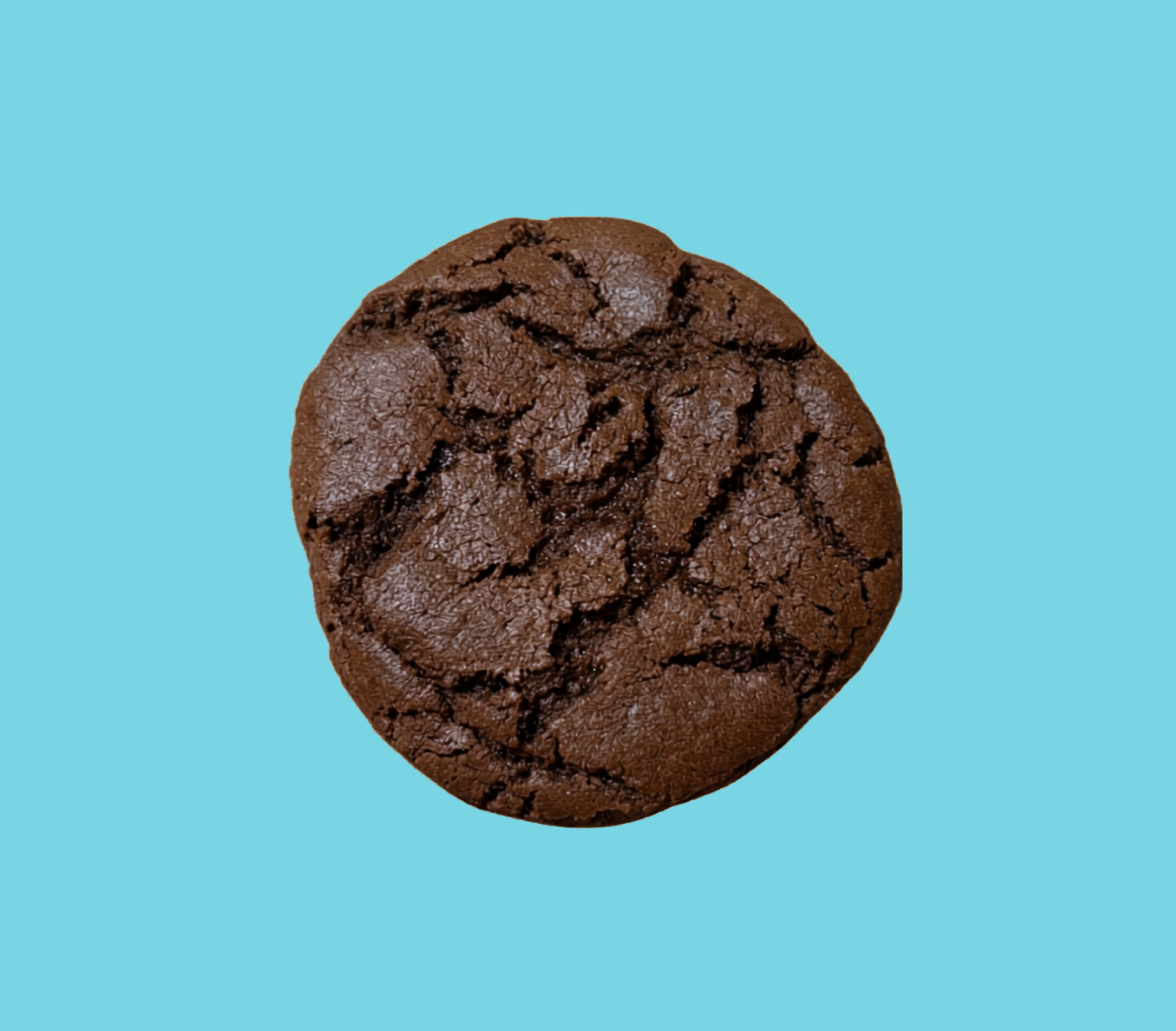 Untitled design (7).png