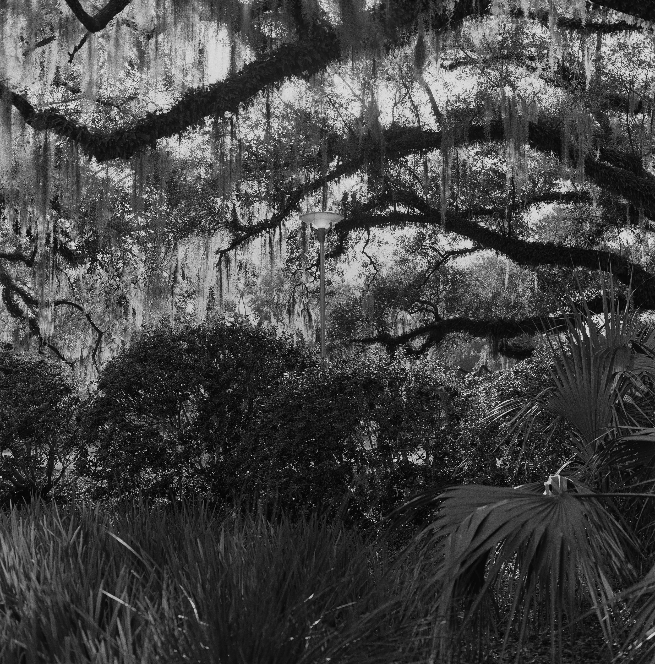 Checkout Test-003_Print 12x12.jpg