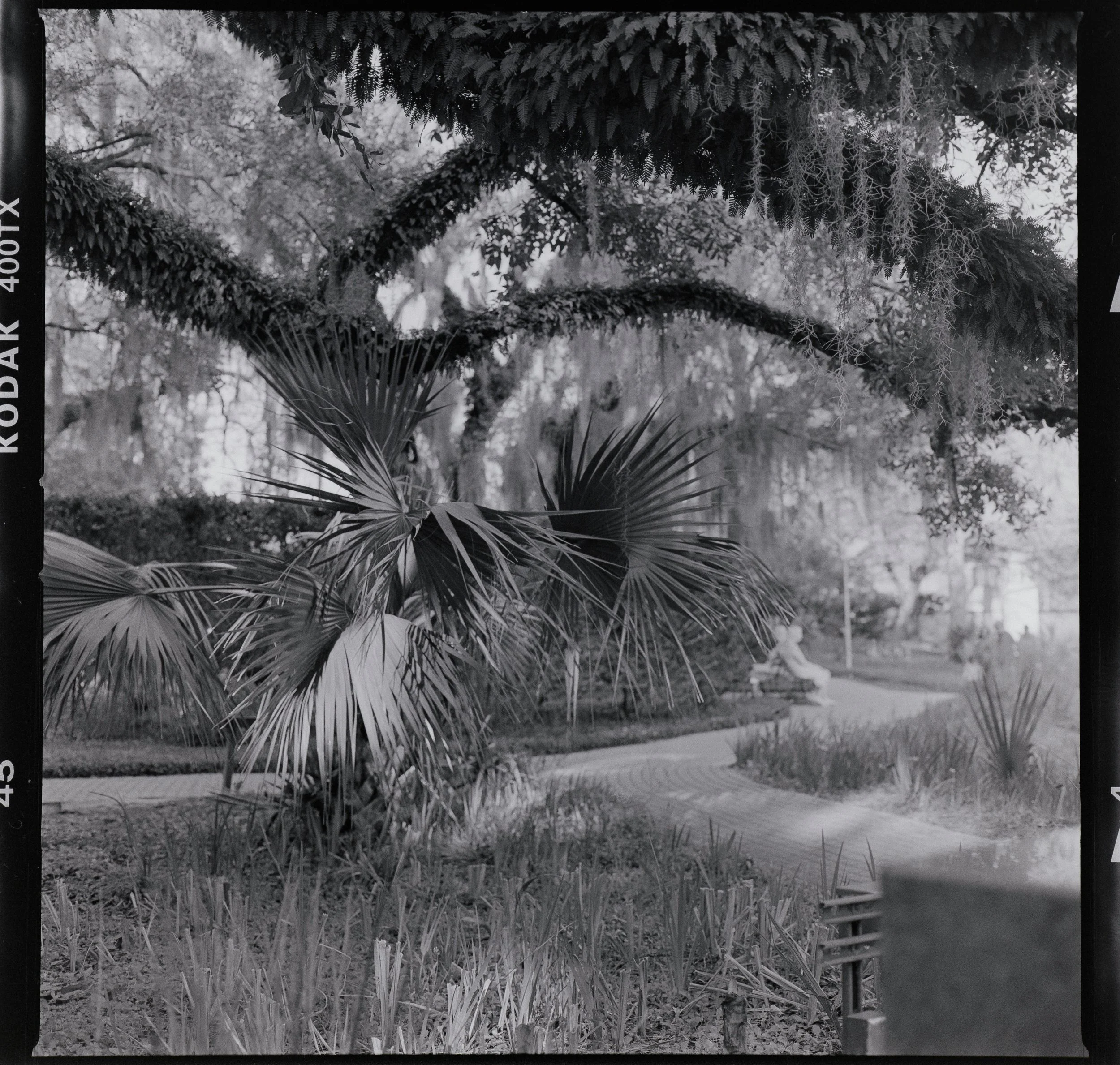 Checkout Test-005-Edit.jpg