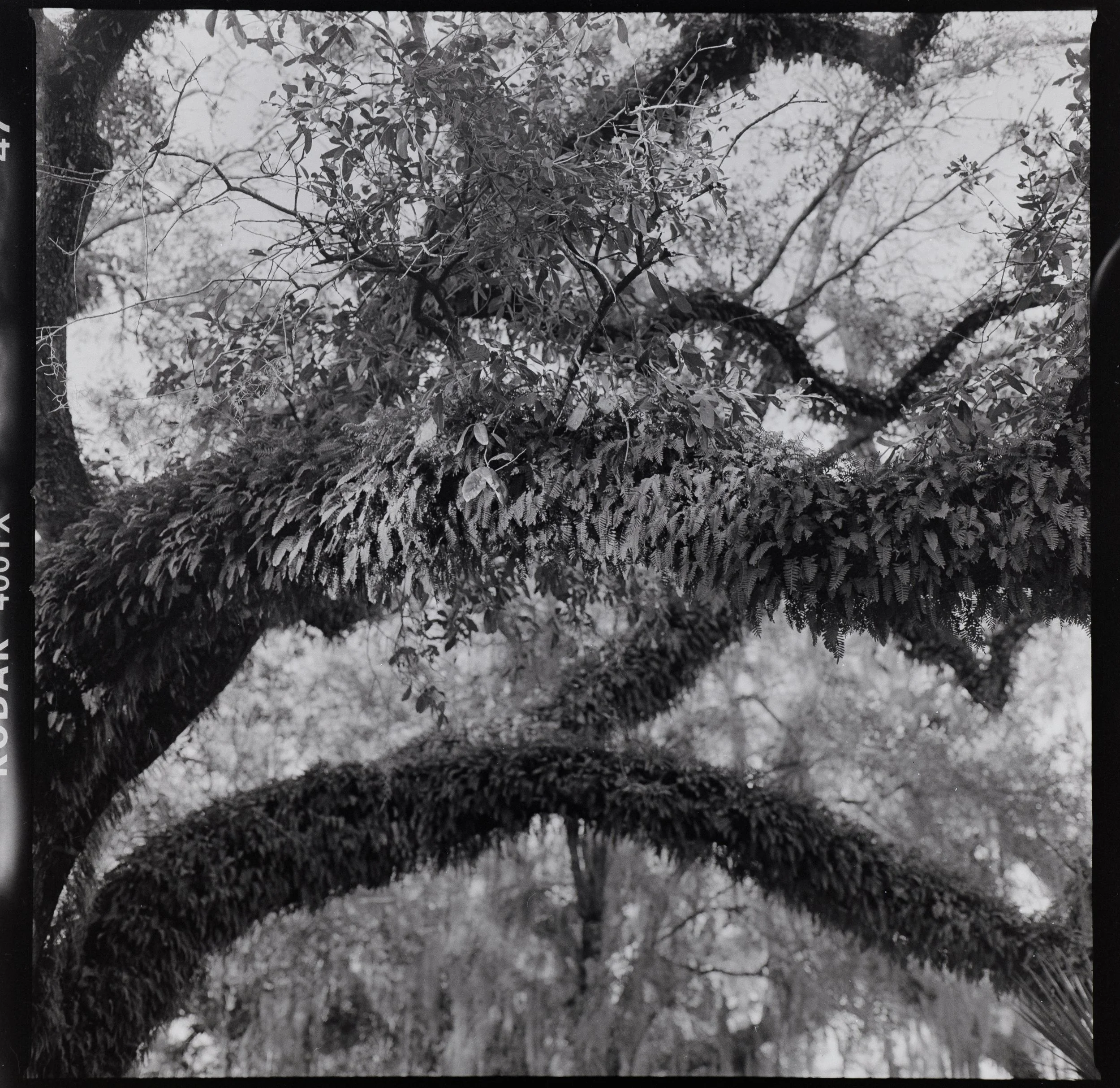 Checkout Test-008-Edit.jpg