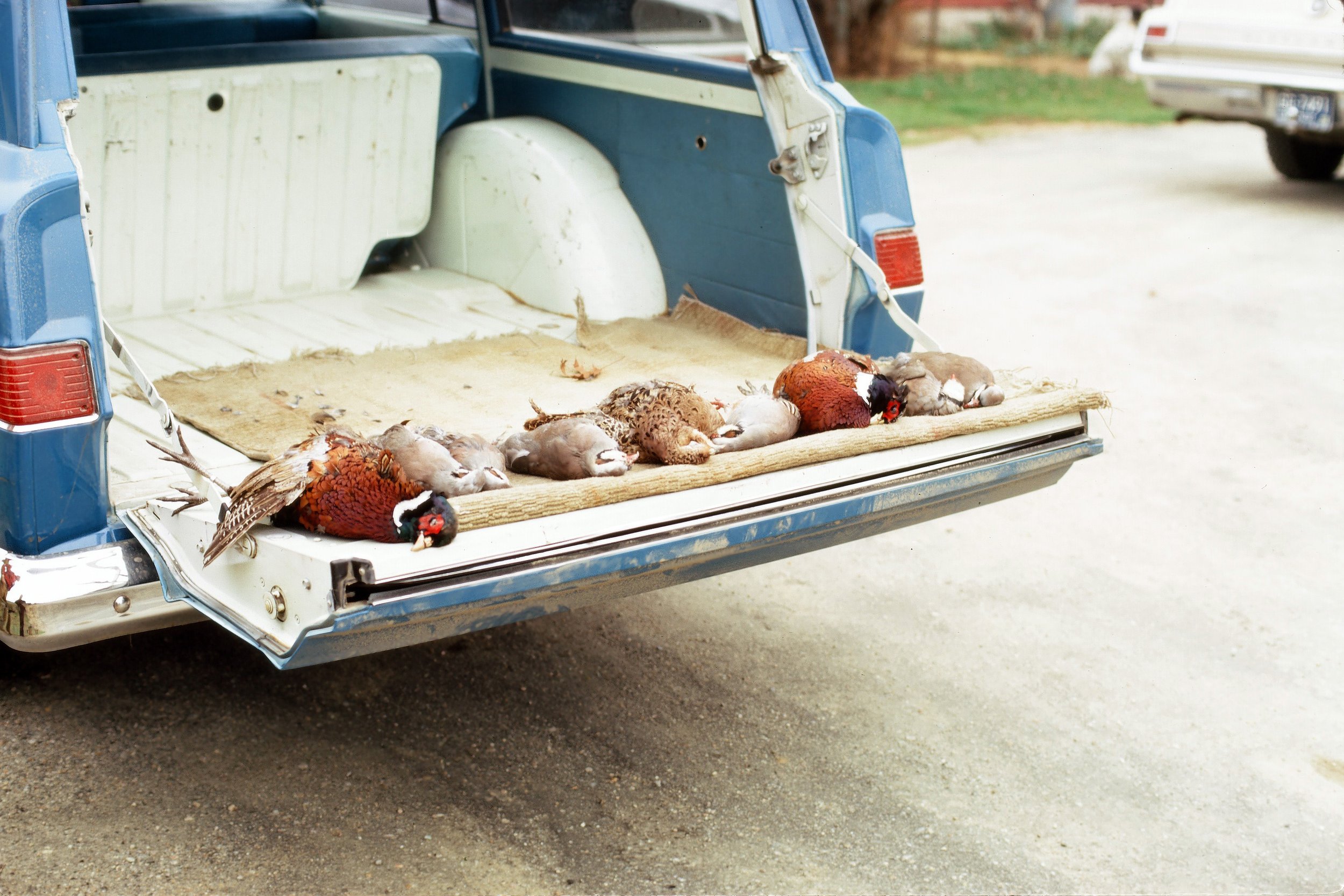 Archival Footage: William Ferdinand