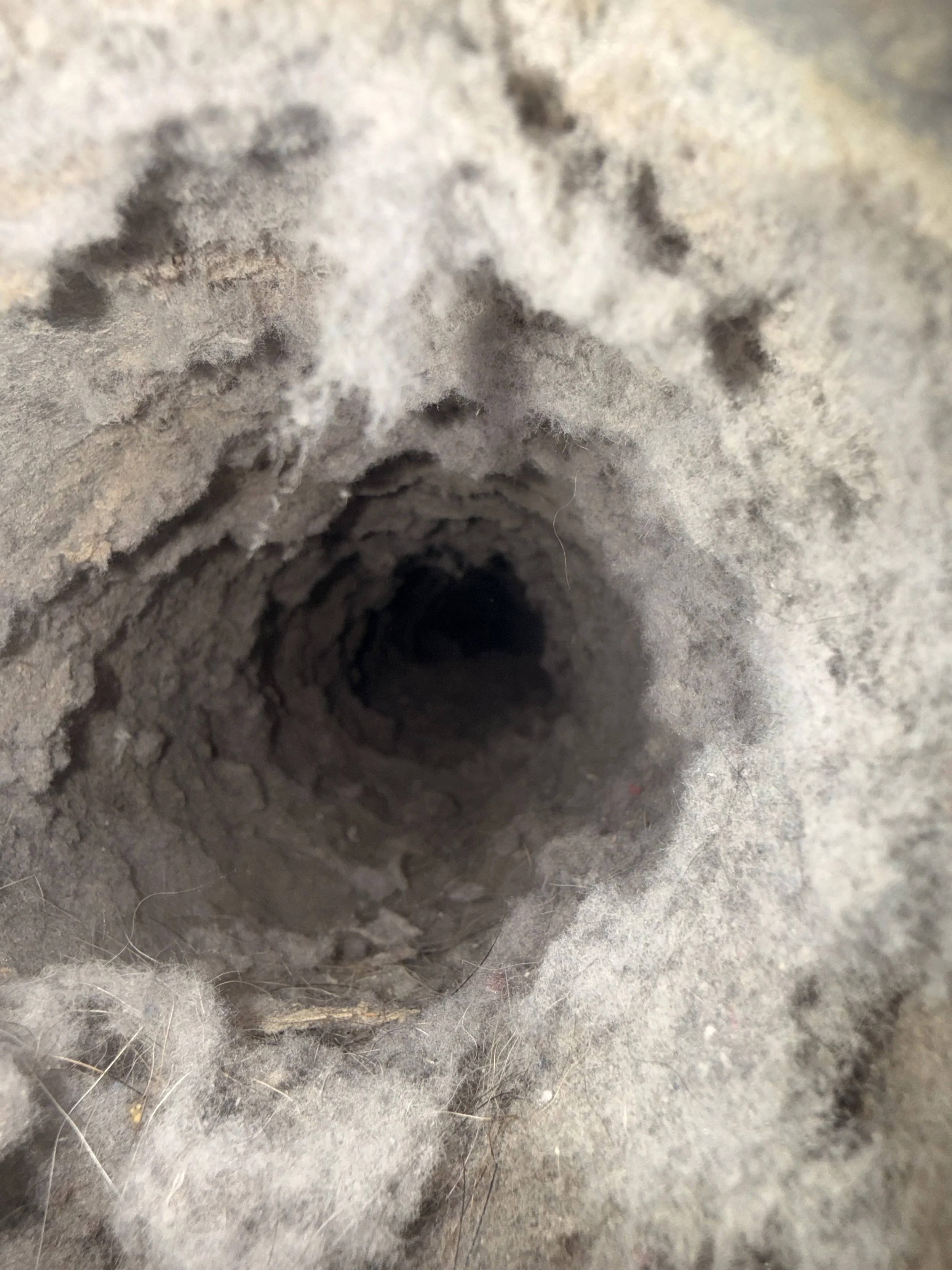 Before photo of dryer vent cleaning