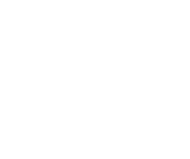 Joel Maldonado