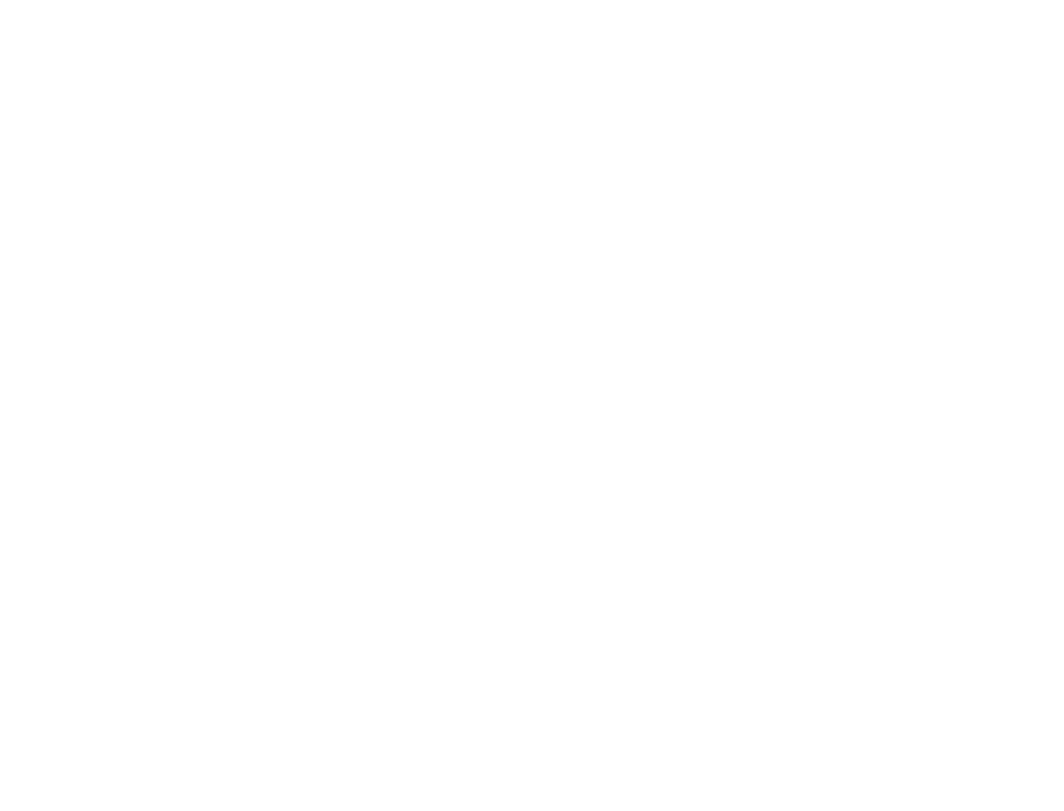 Shiro On The Go