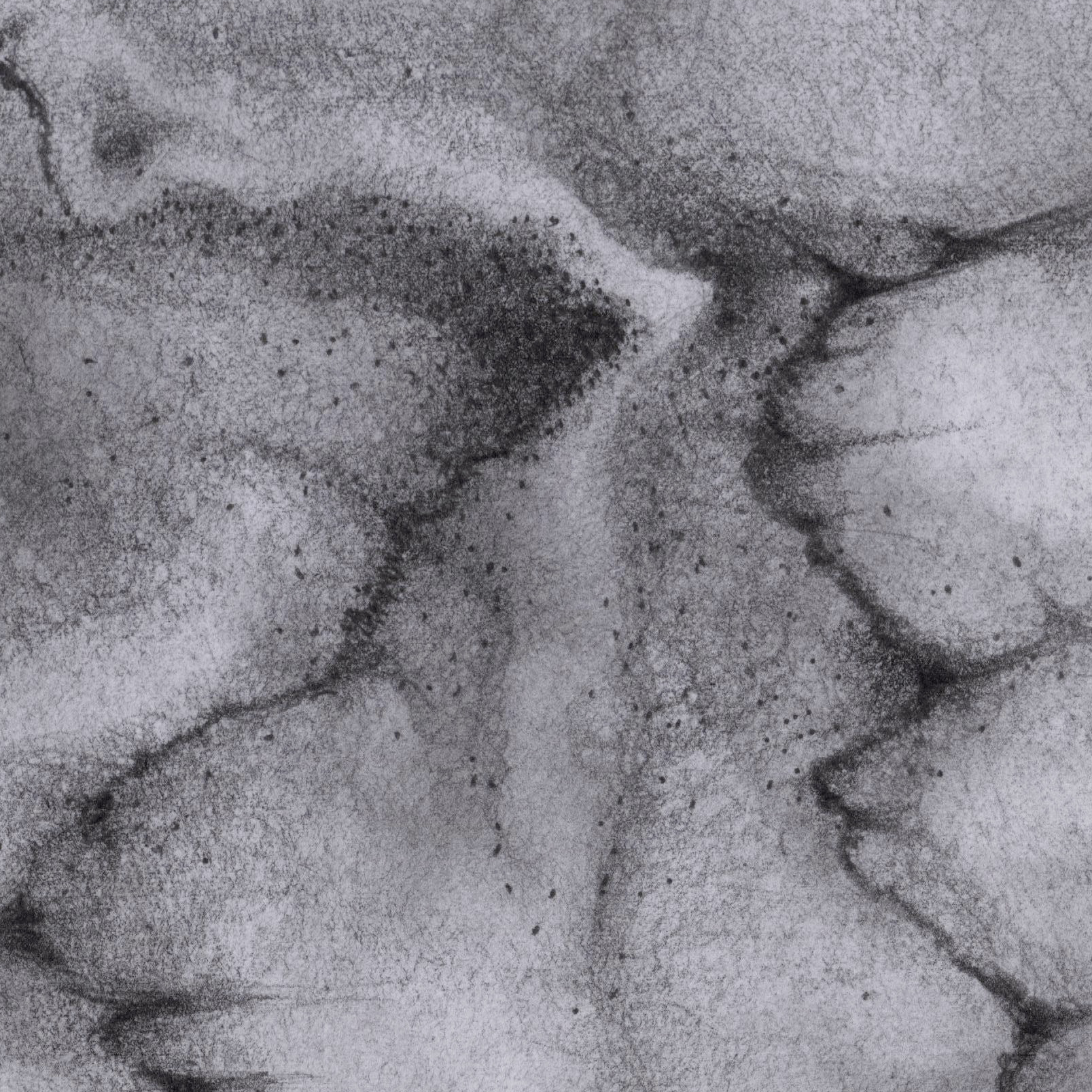 Detail: Graphite abstraction (2020)