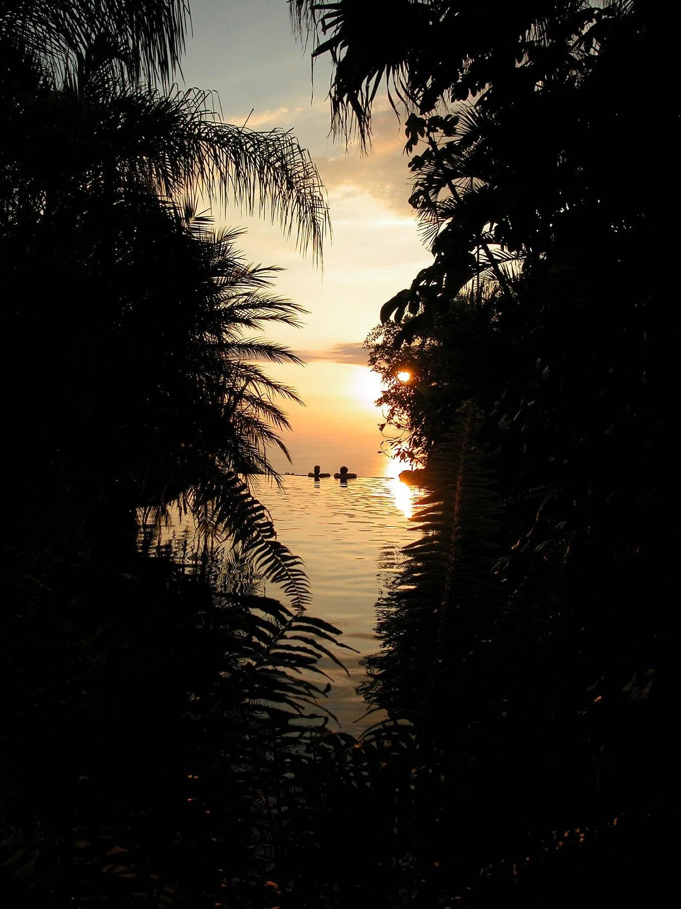 Sunset over water seen through silhouettes of lush tropical trees and plants. Samara, Costa Rica