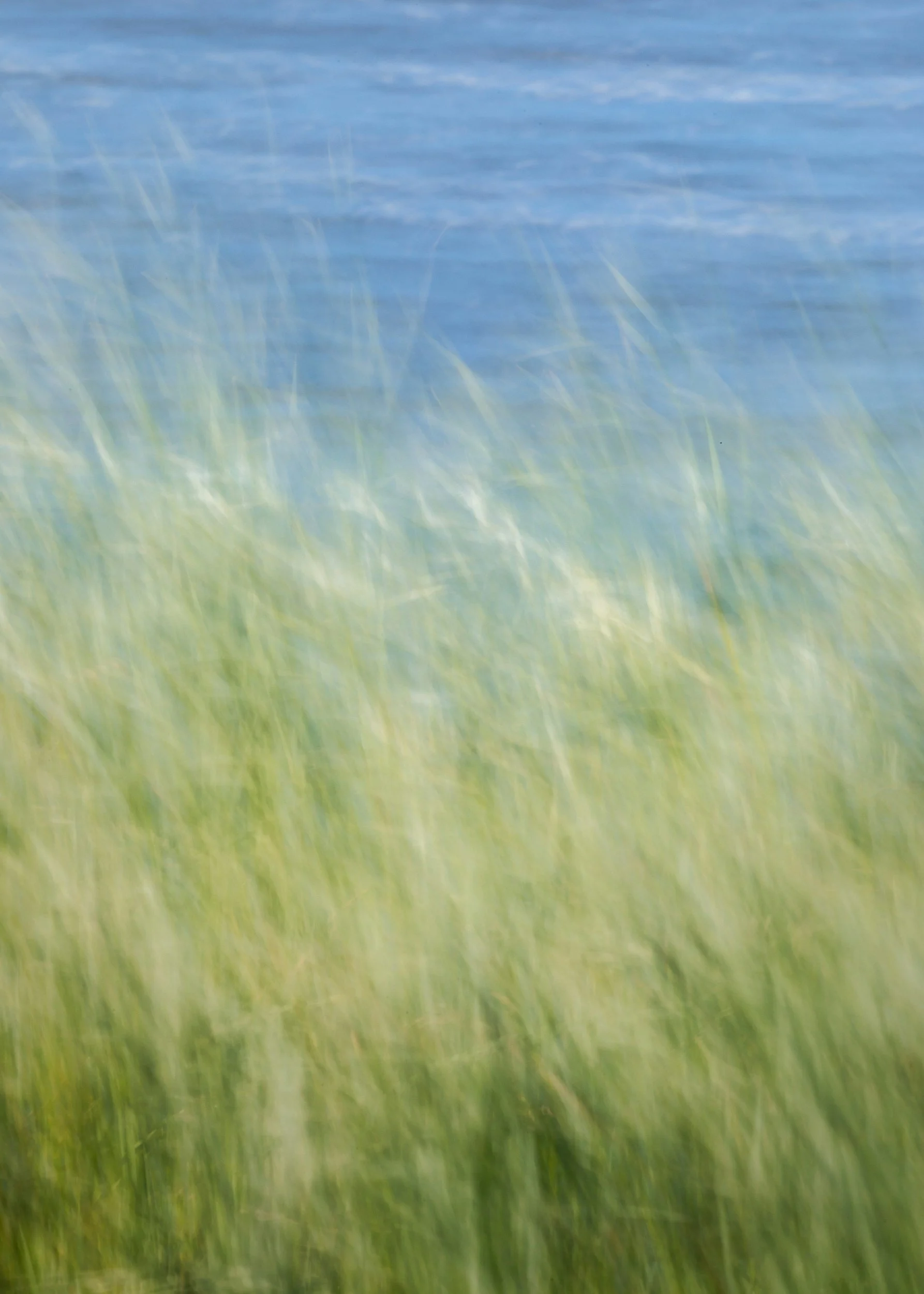 Blurred image of grassy area near water, with green grass in the foreground and blue water in the background.