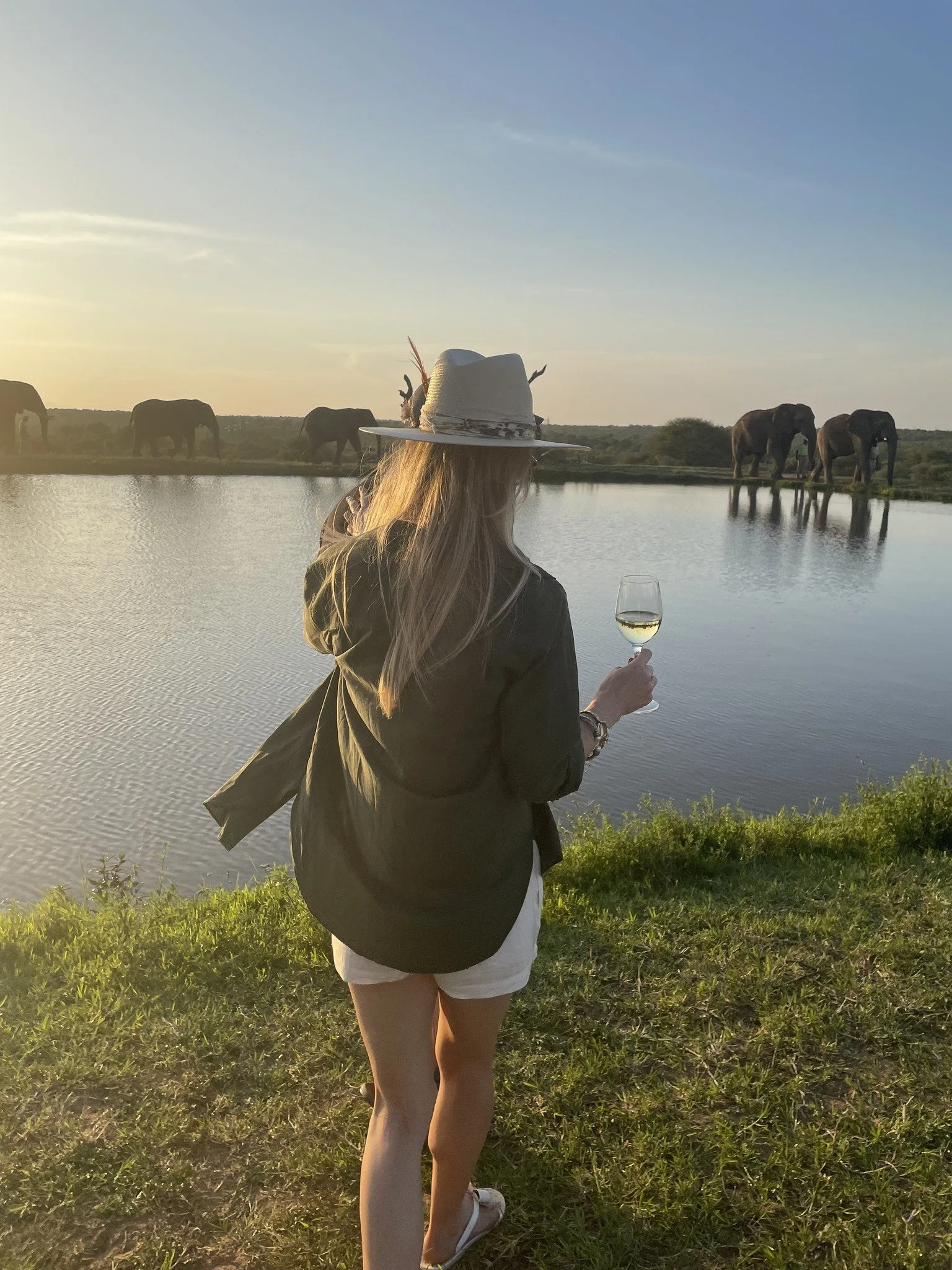 A woman with long hair, wearing a hat, dark jacket, and white shorts, stands on grass near a lake, holding a glass of white wine, while elephants drink at the water's edge during sunset.