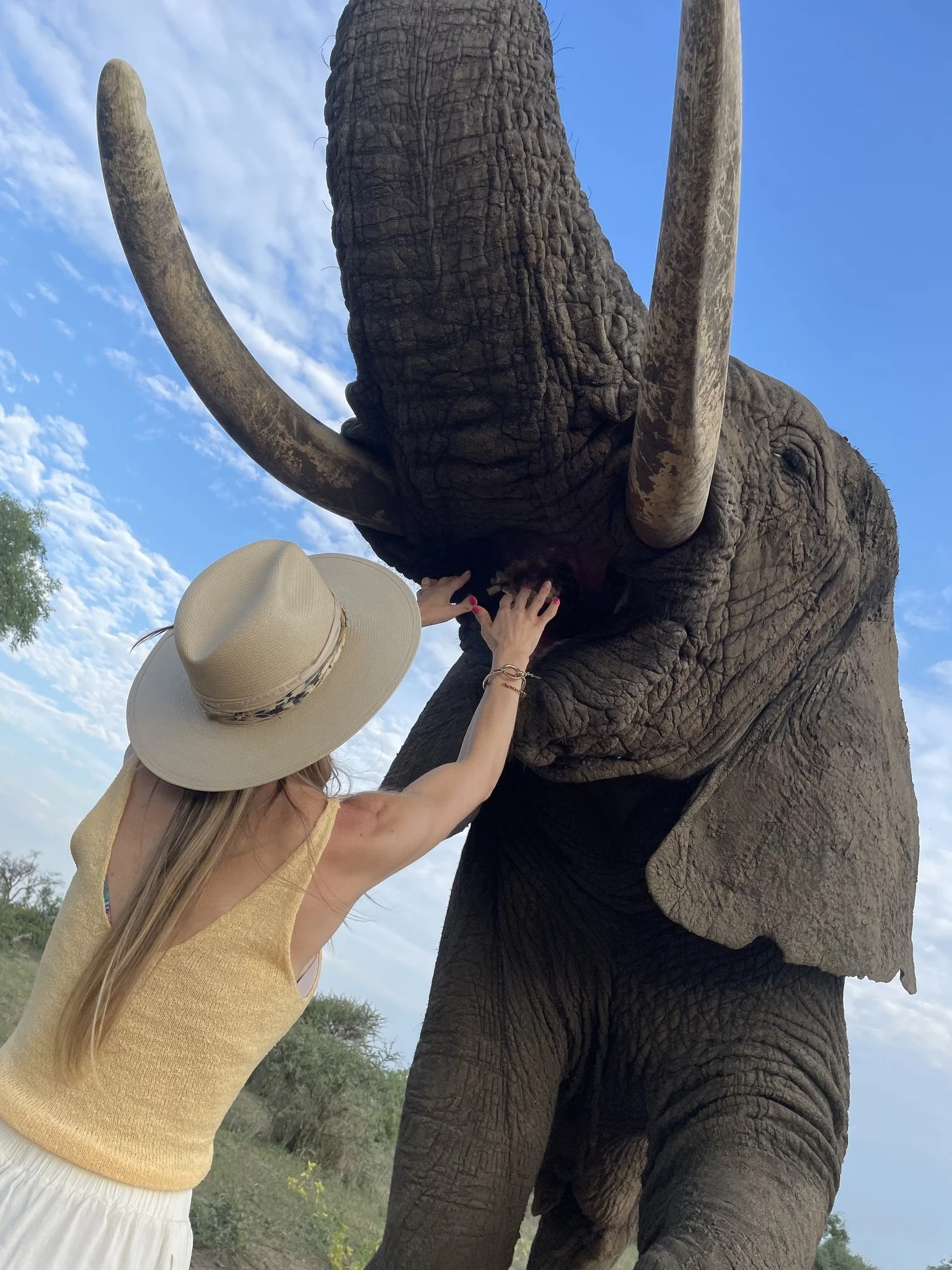 A woman wearing a beige sunhat and a yellow sleeveless top is feeding a large African elephant with her hands. The elephant's trunk and tusks are visible, and the background shows a blue sky with some clouds and greenery.