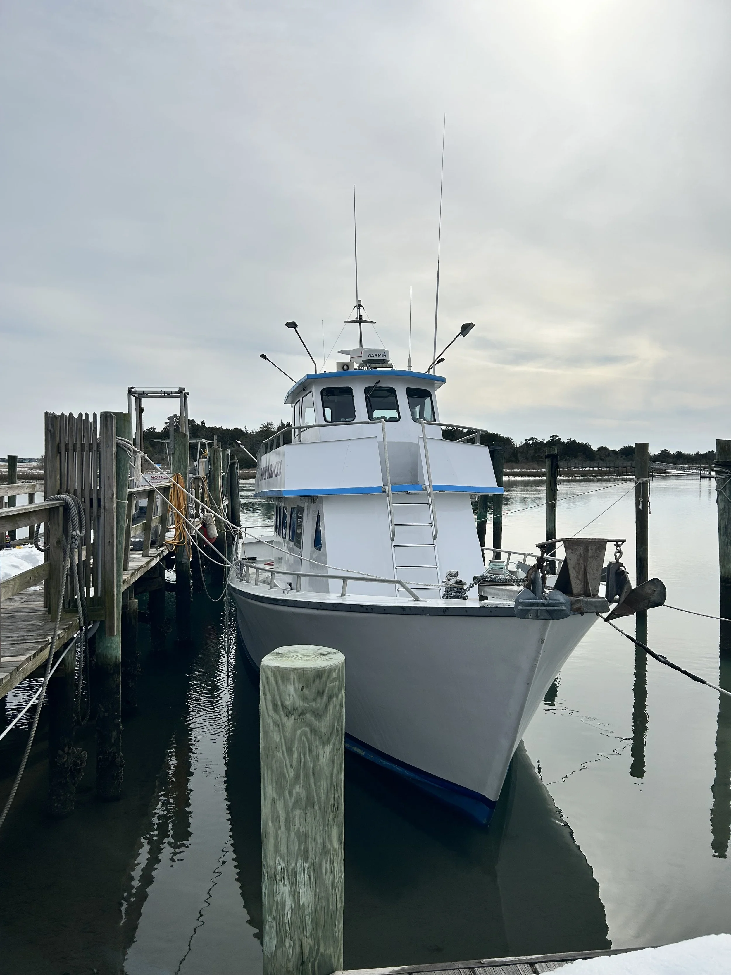 A white boat docked at a wooden pier with multiple ropes, surrounded by calm water and green posts, under a cloudy sky.