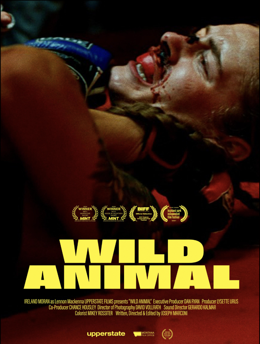 WILD ANIMAL