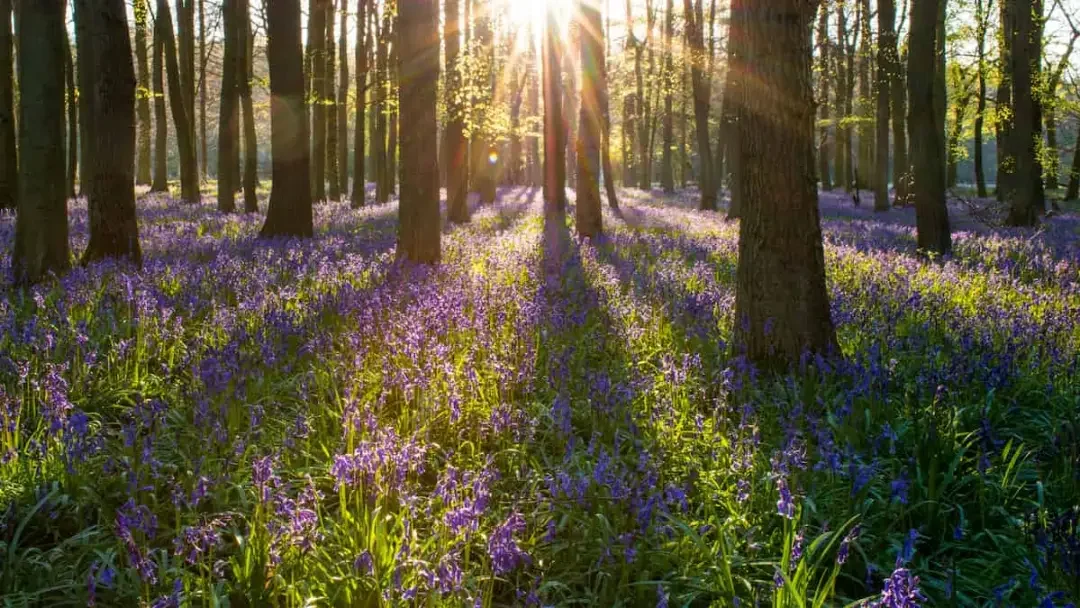 Crisis Support Resource