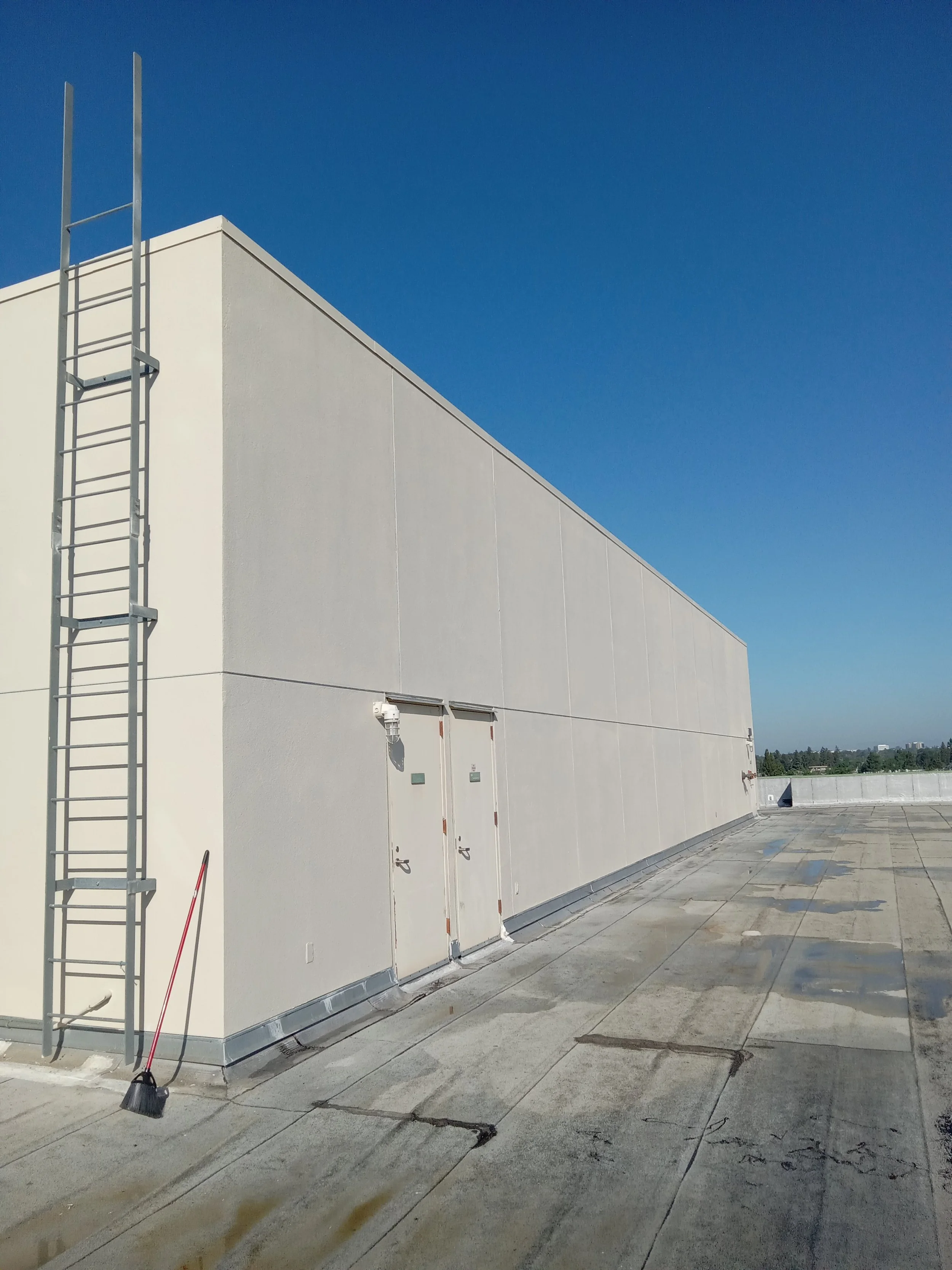Rooftop of a building with a metal ladder, two doors, and patches of water on the surface, against a clear blue sky.