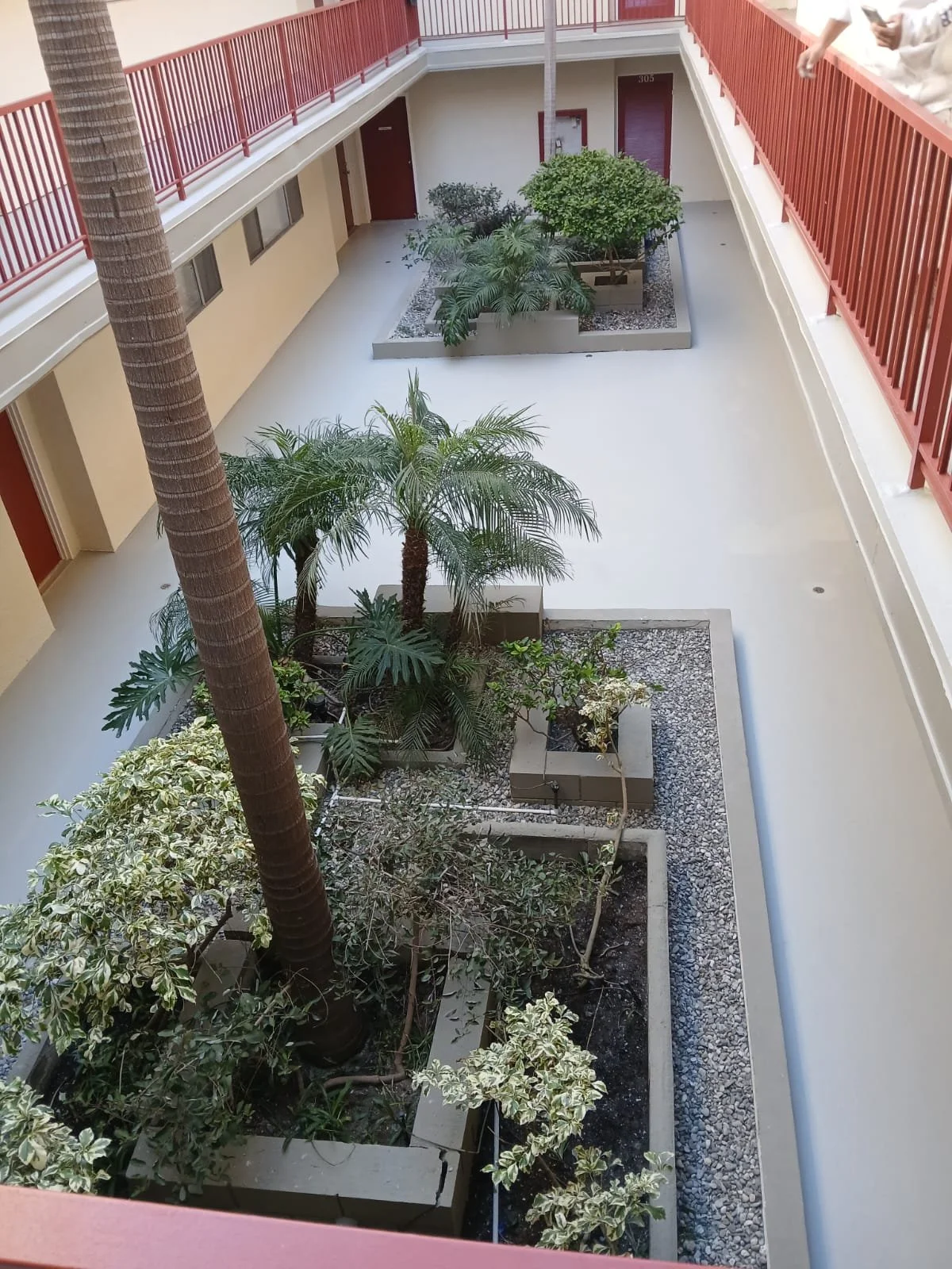 View of an outdoor apartment courtyard with potted plants, palm trees, shrubs, and a walkway, surrounded by a red railing and beige walls.