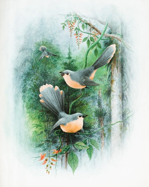 Watercolor illustration of three small birds perched on and flying around a leafy branch in a lush green forest.