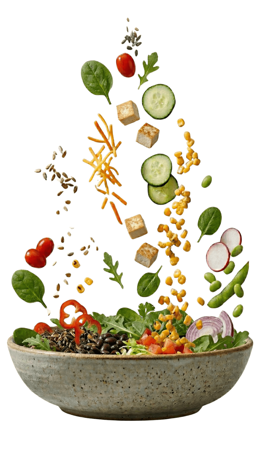Haystack Bowl HayStax | Order Healthy Bowls Today