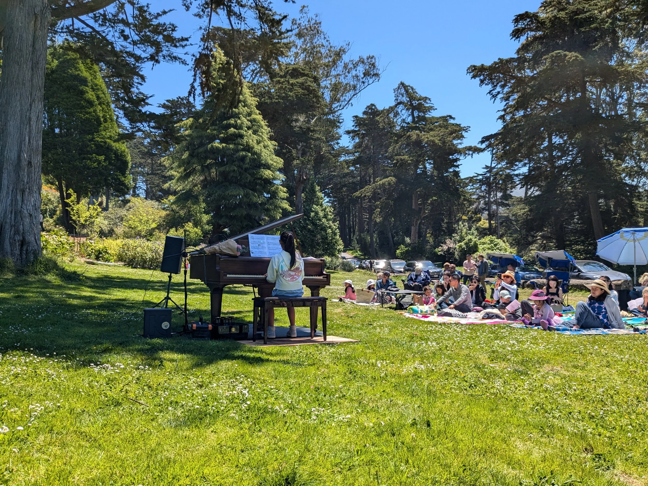 Musician playing piano outdoors in a park with people sitting on blankets and cars in the background on a sunny day.