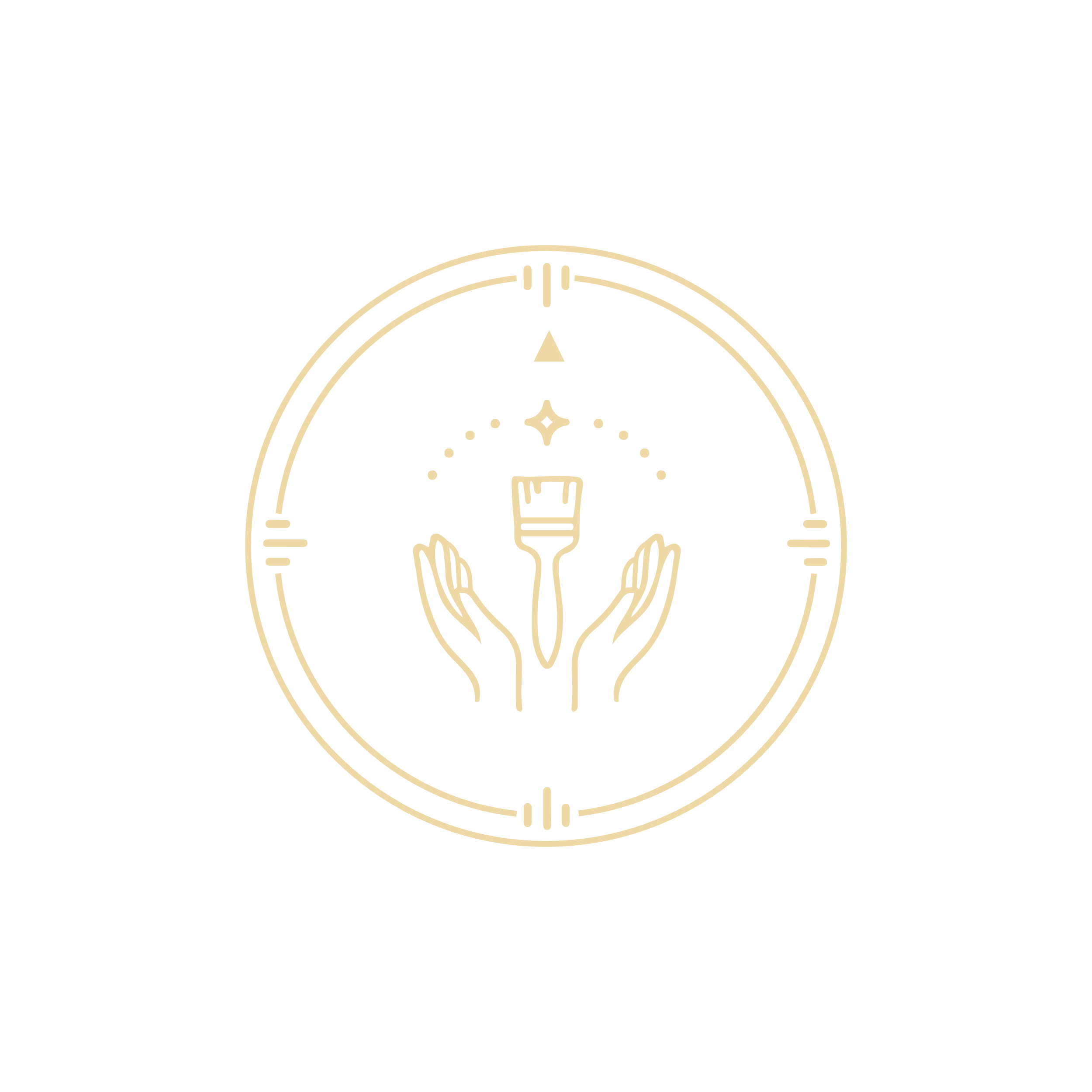 Anchor Member