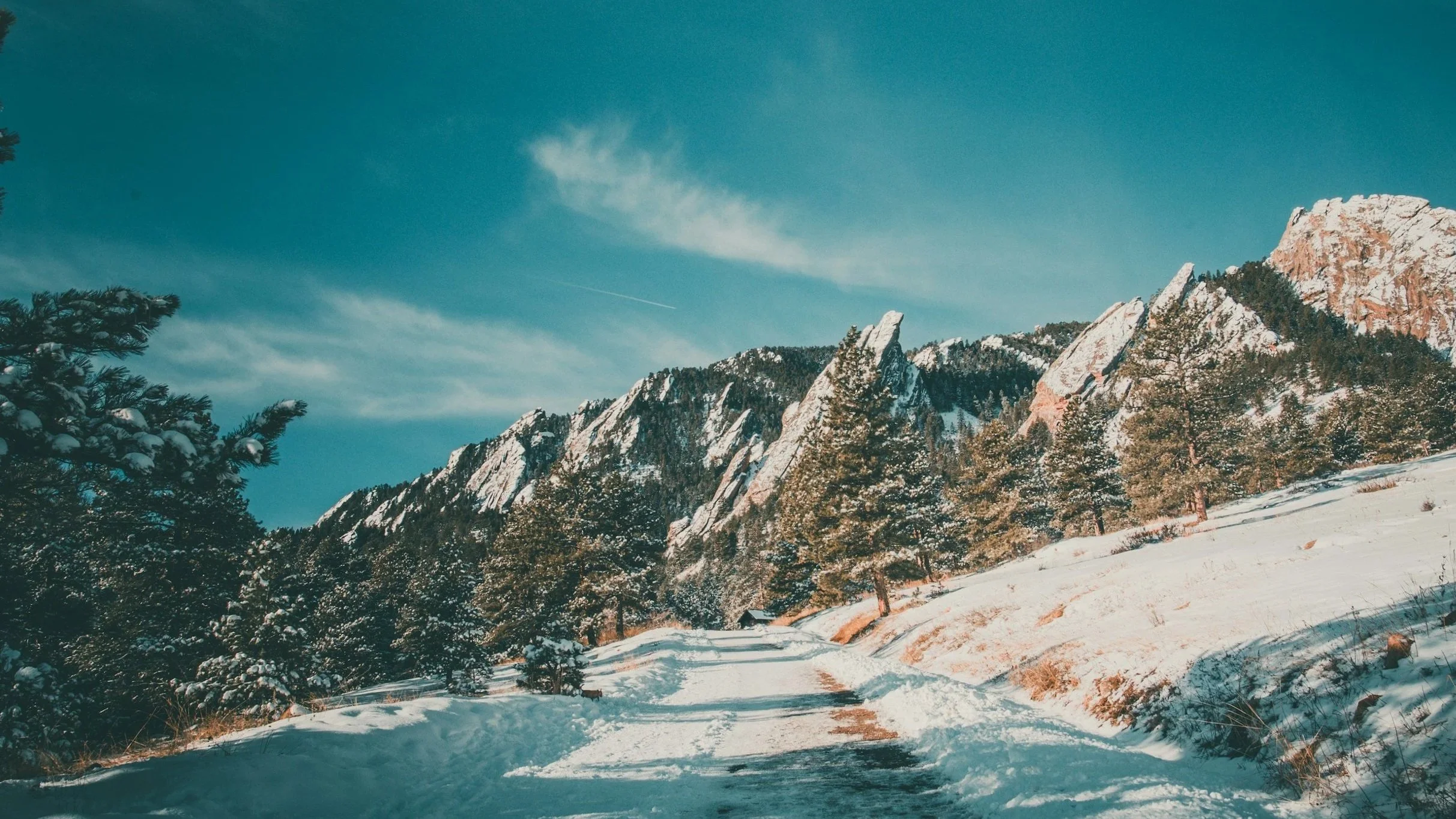 Snow-covered mountain landscape with evergreen trees and a partly cloudy sky.