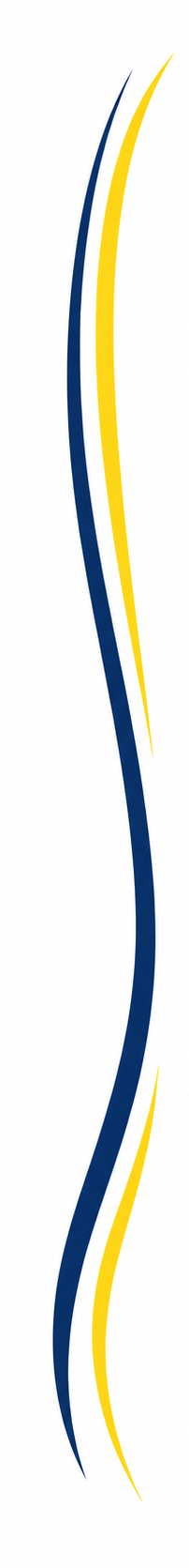 Vertical white background with three wavy lines in blue and yellow colors.
