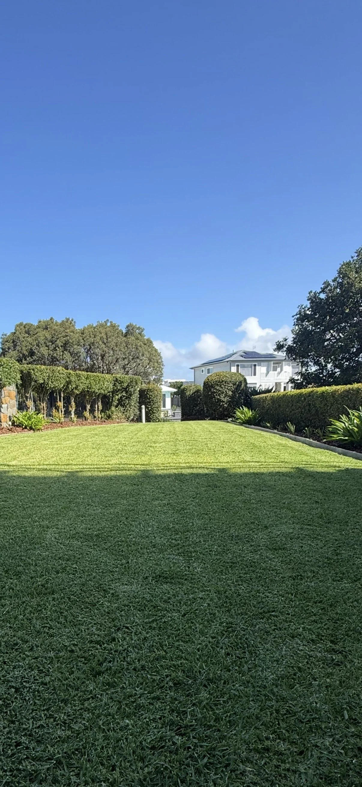A well-maintained backyard with a lush green lawn, neatly trimmed hedges, and a modern house in the background under a clear blue sky.