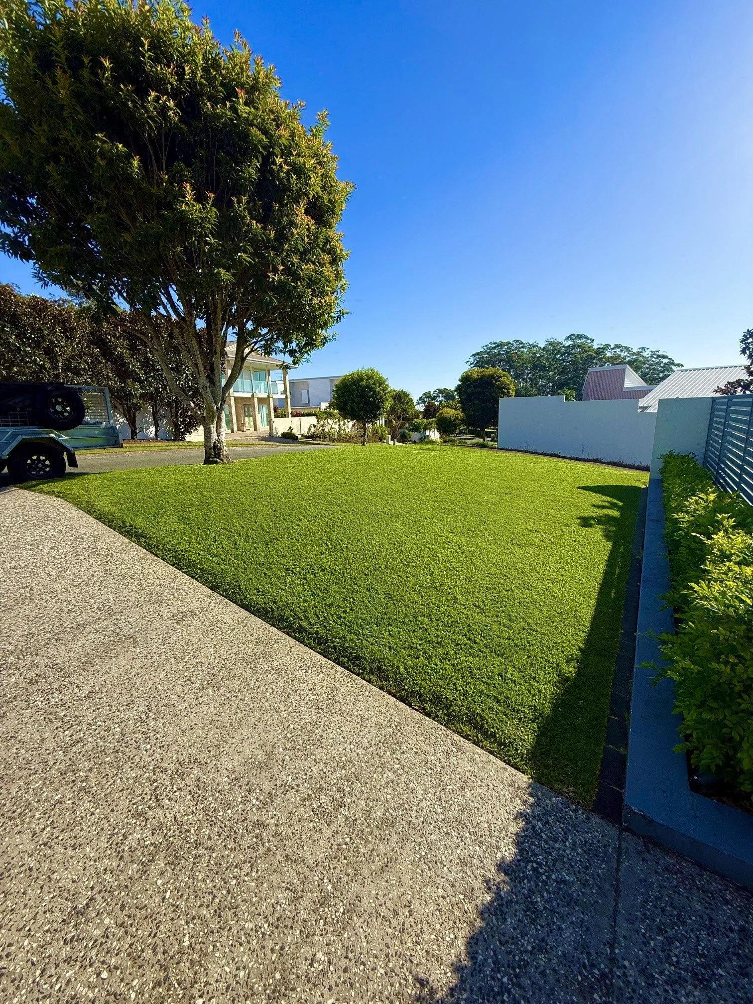 A residential yard with a large tree, a green lawn, a gravel pathway, and modern houses with white walls and metal roofs under a clear blue sky.