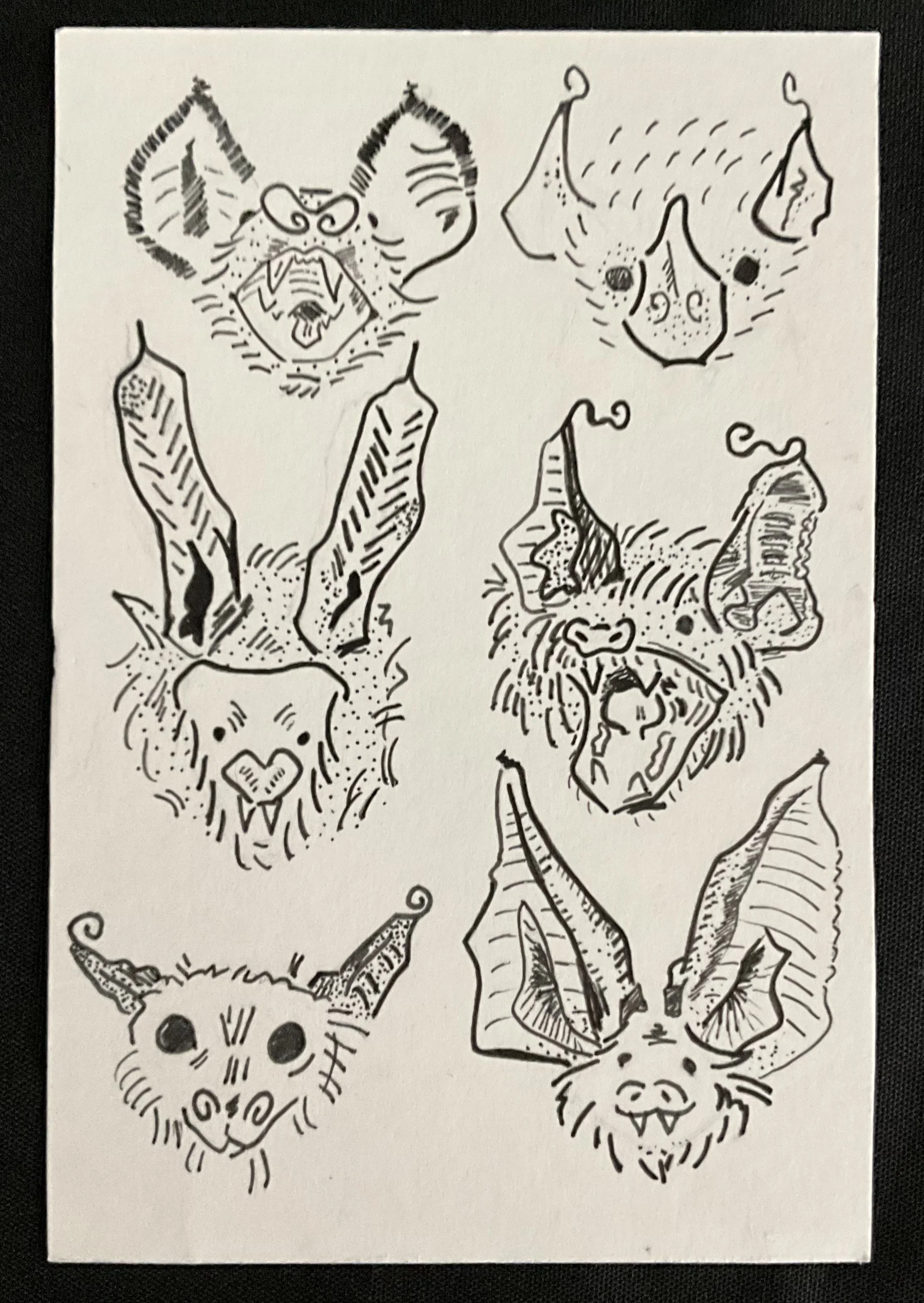 “Bat-Heads” 
Medium: Ink&pen 
Winter 2024