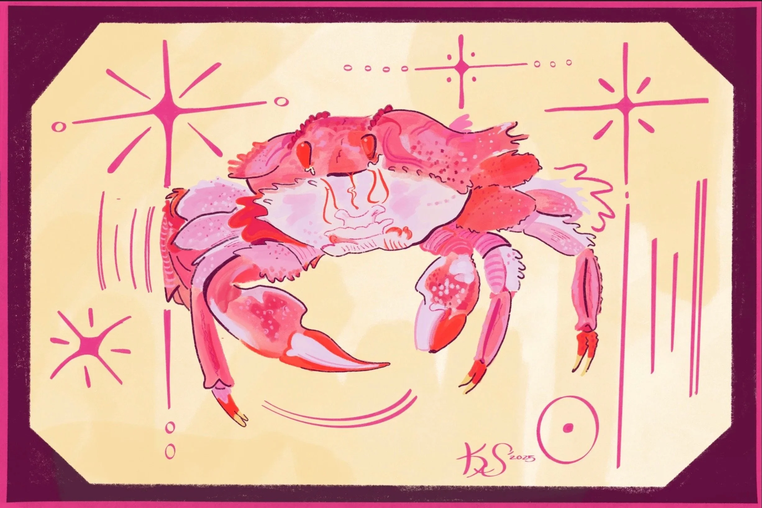 “Pink Ghost Crab”
Dimension: Digital
Summer 2025