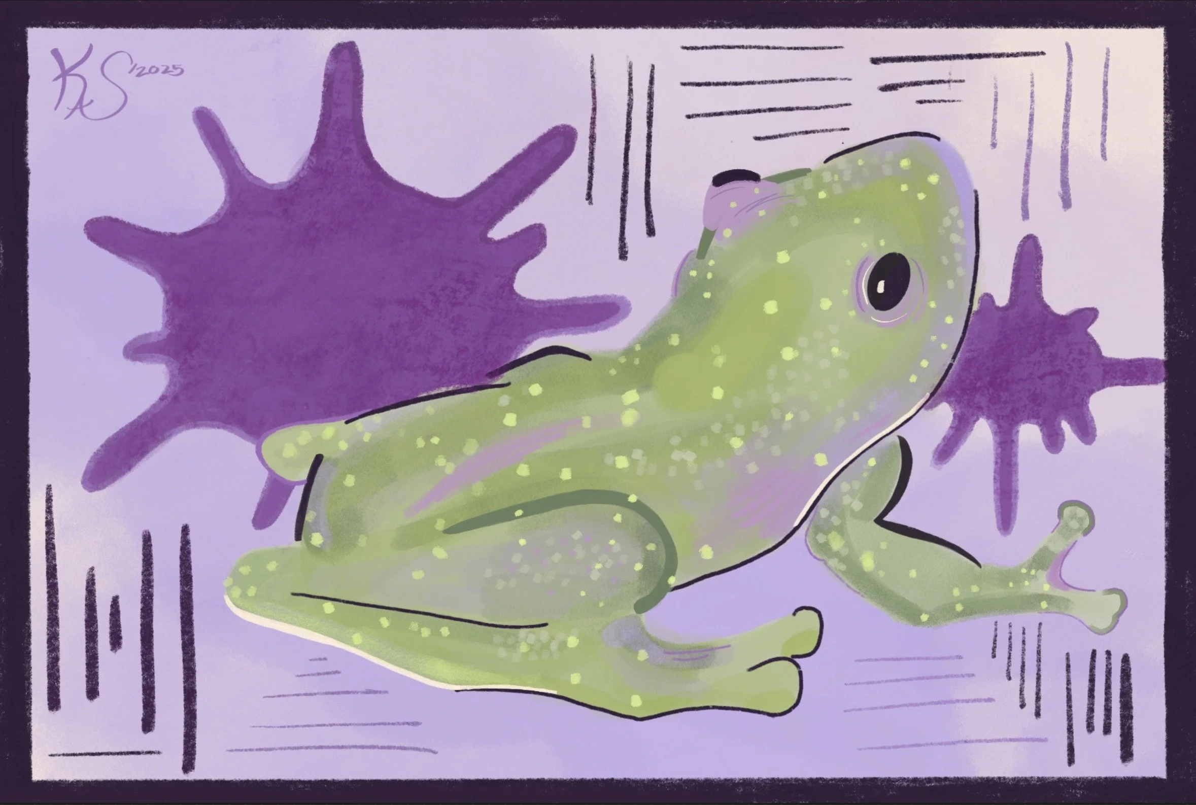 “Slope Snouted Glass Frog”
Medium: Digital
Summer 2025