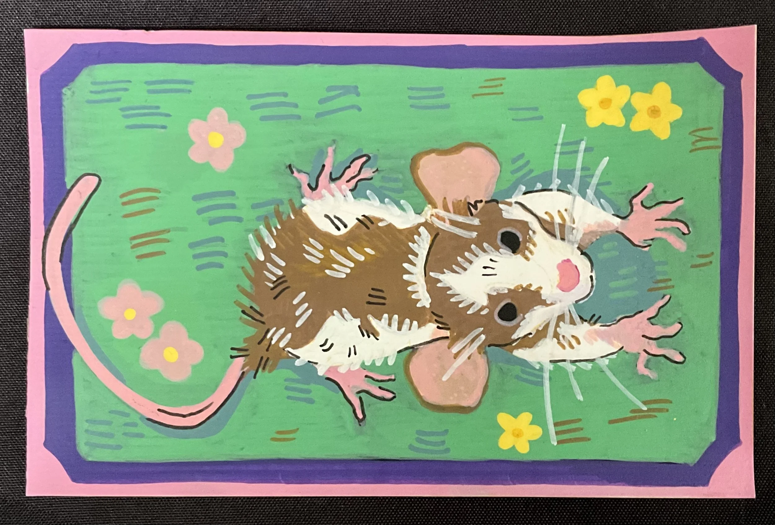 “Himalayan Field Rat” 
Medium: Acrylic paint pens 
Summer 2026
