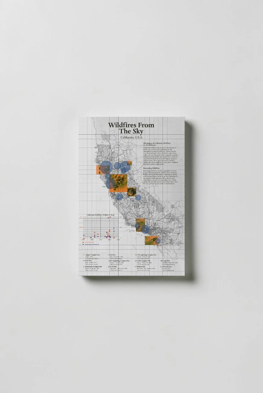 Poster - Wildfire From the Sky