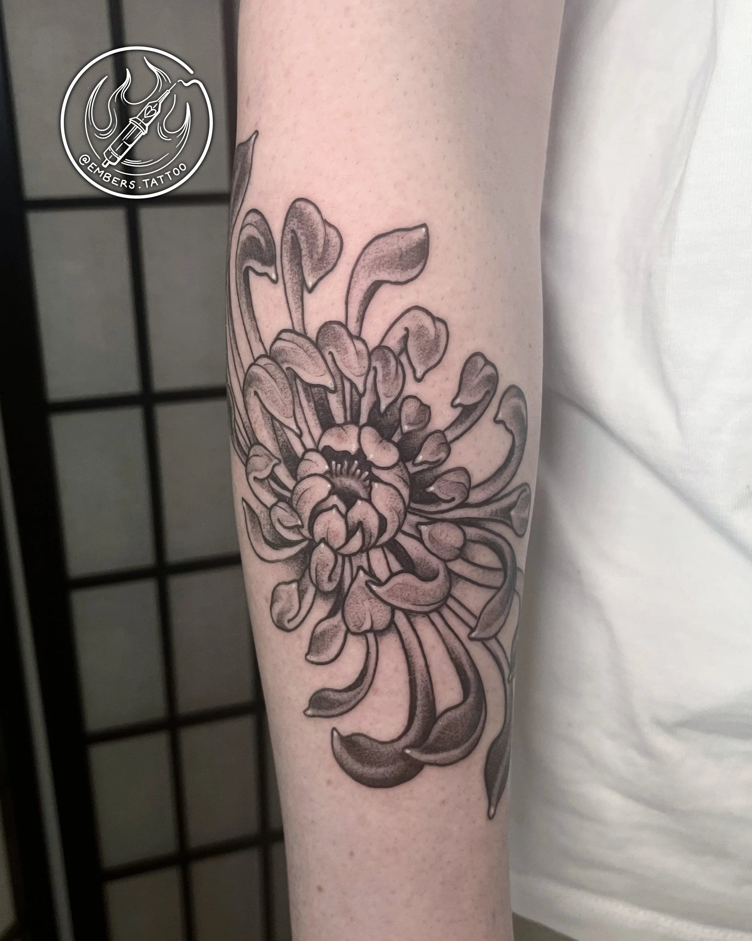Chrysanthemum wrap for a first tattoo 🥰