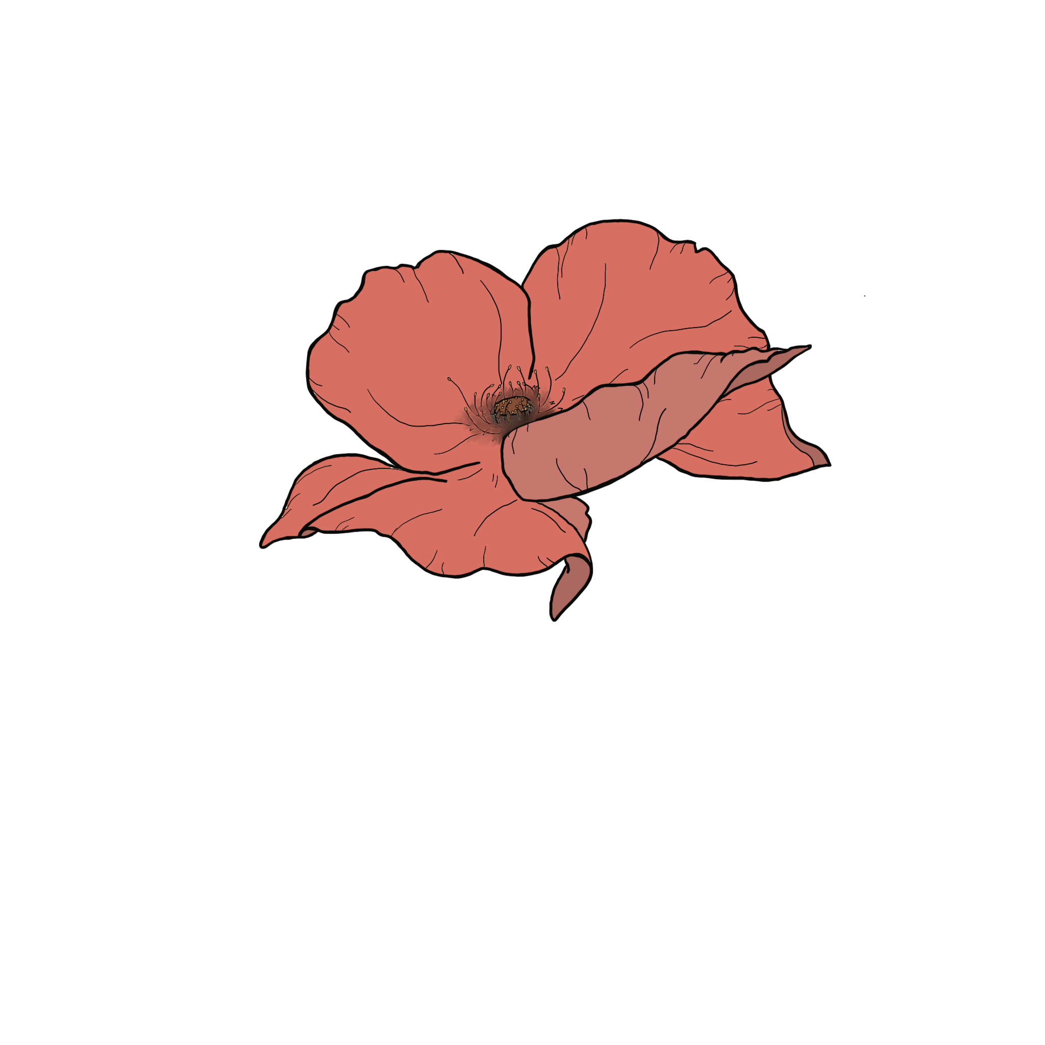 Untitled_Artwork 19.png