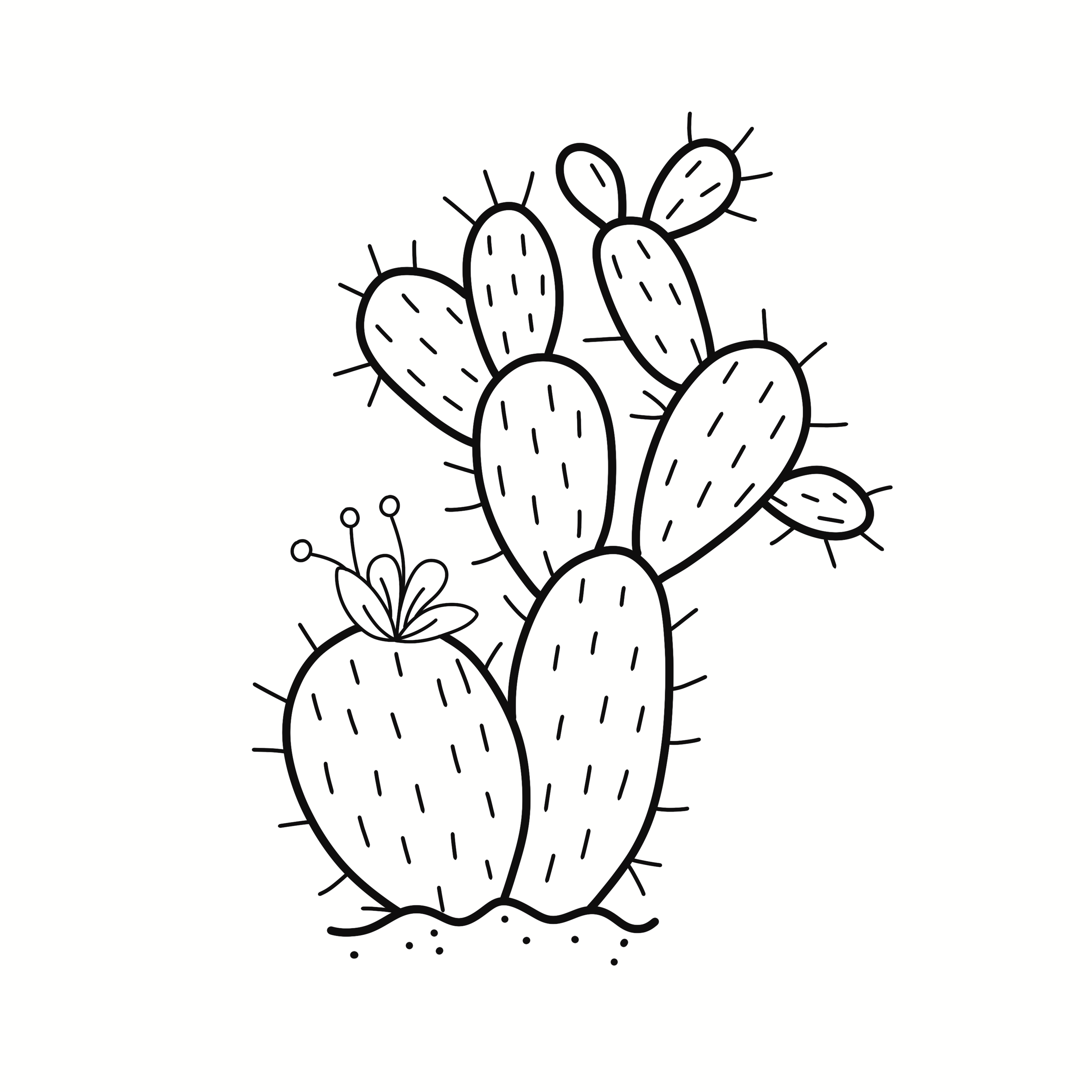 Untitled_Artwork 5.png