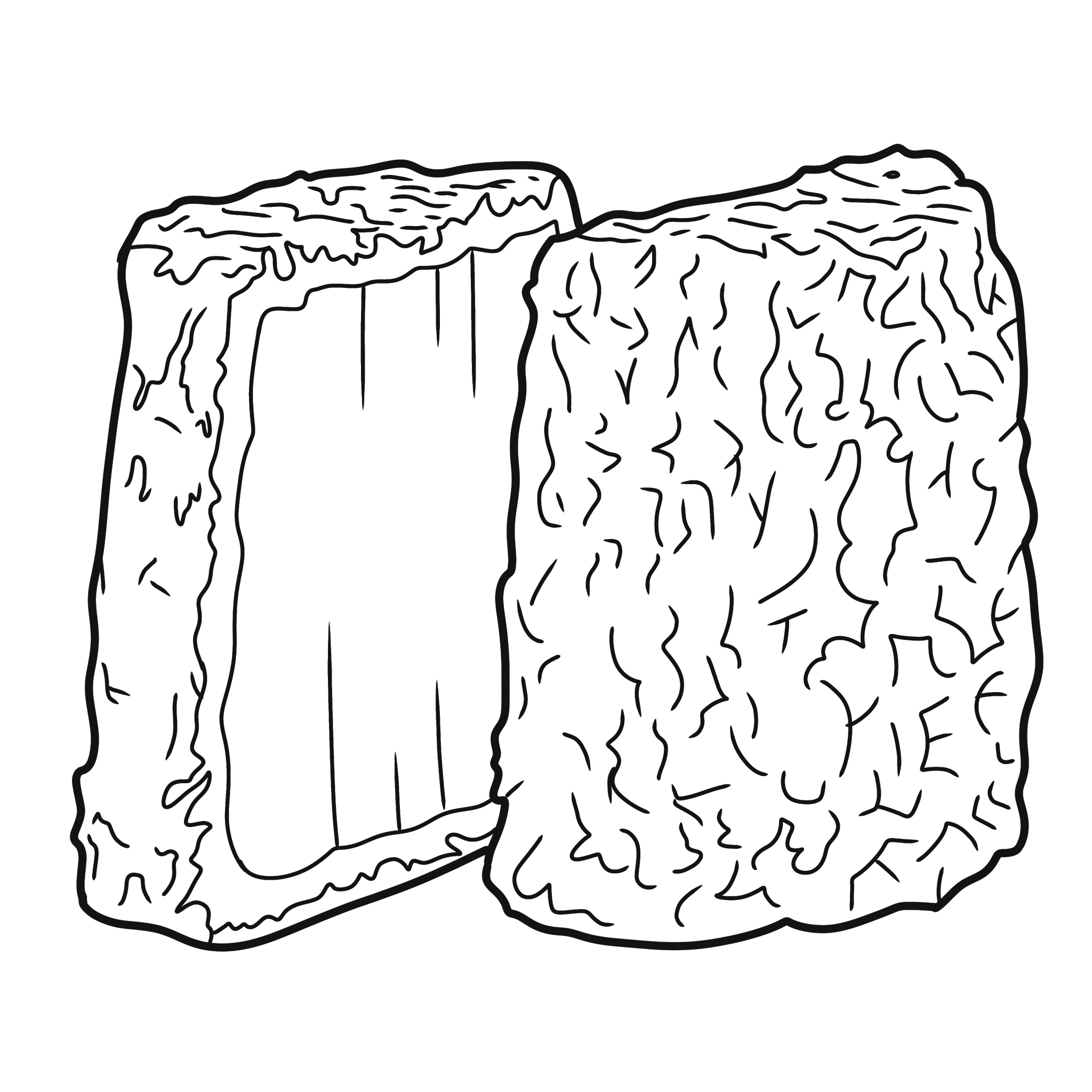 Geotrichum_Family.png